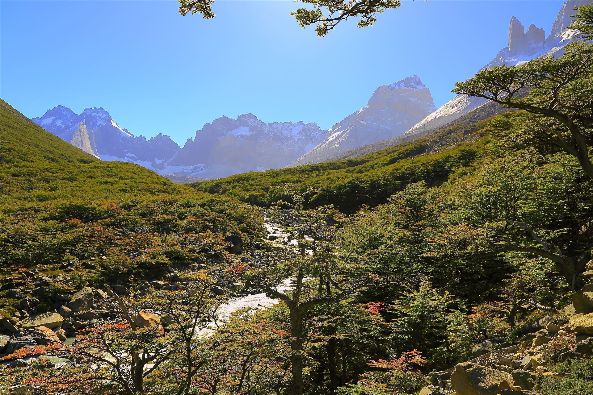 Torres del Paine