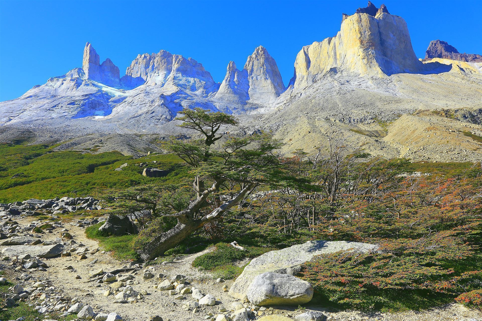 Chile_Patagonien_Torres del Paine