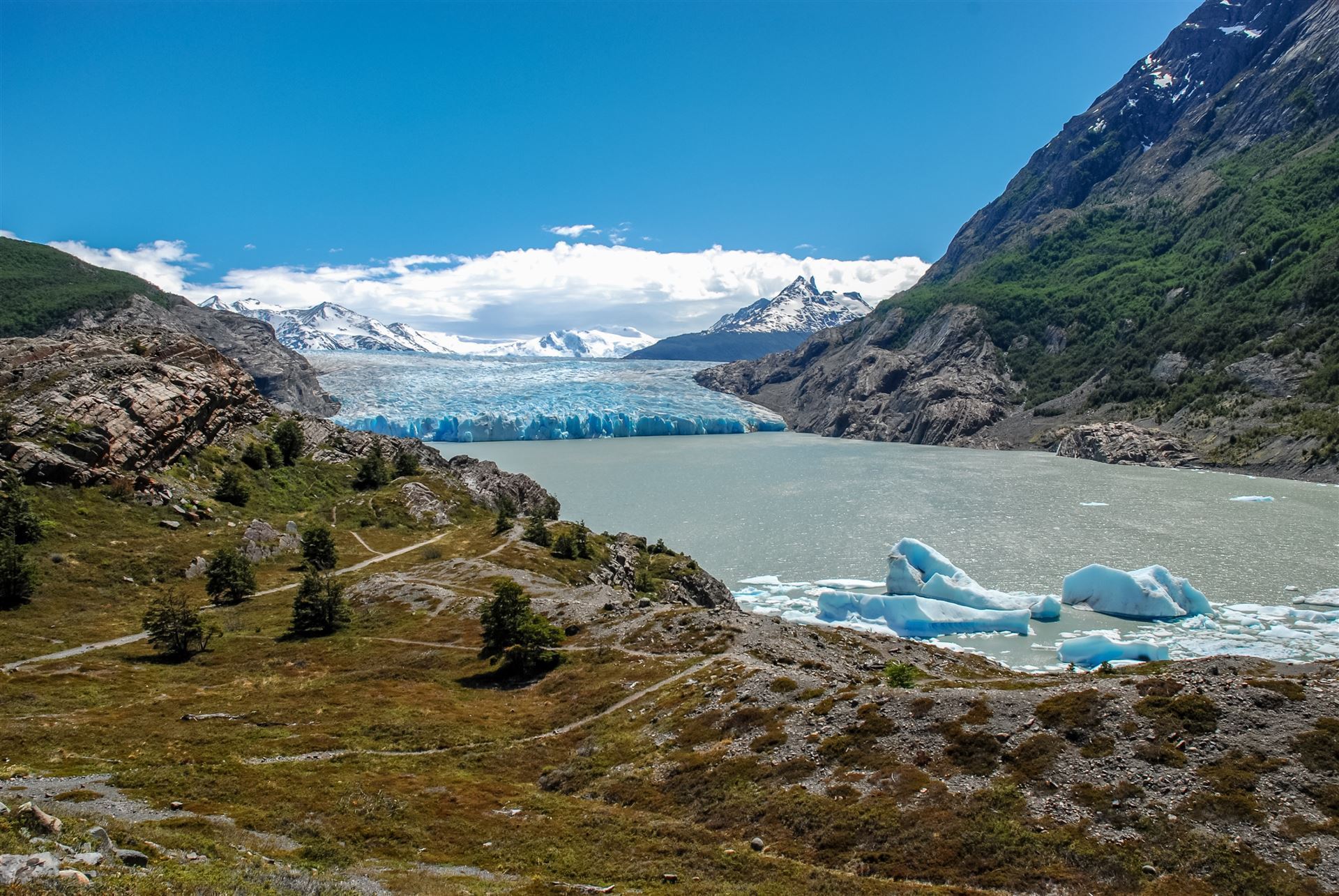 Grey Gletscher