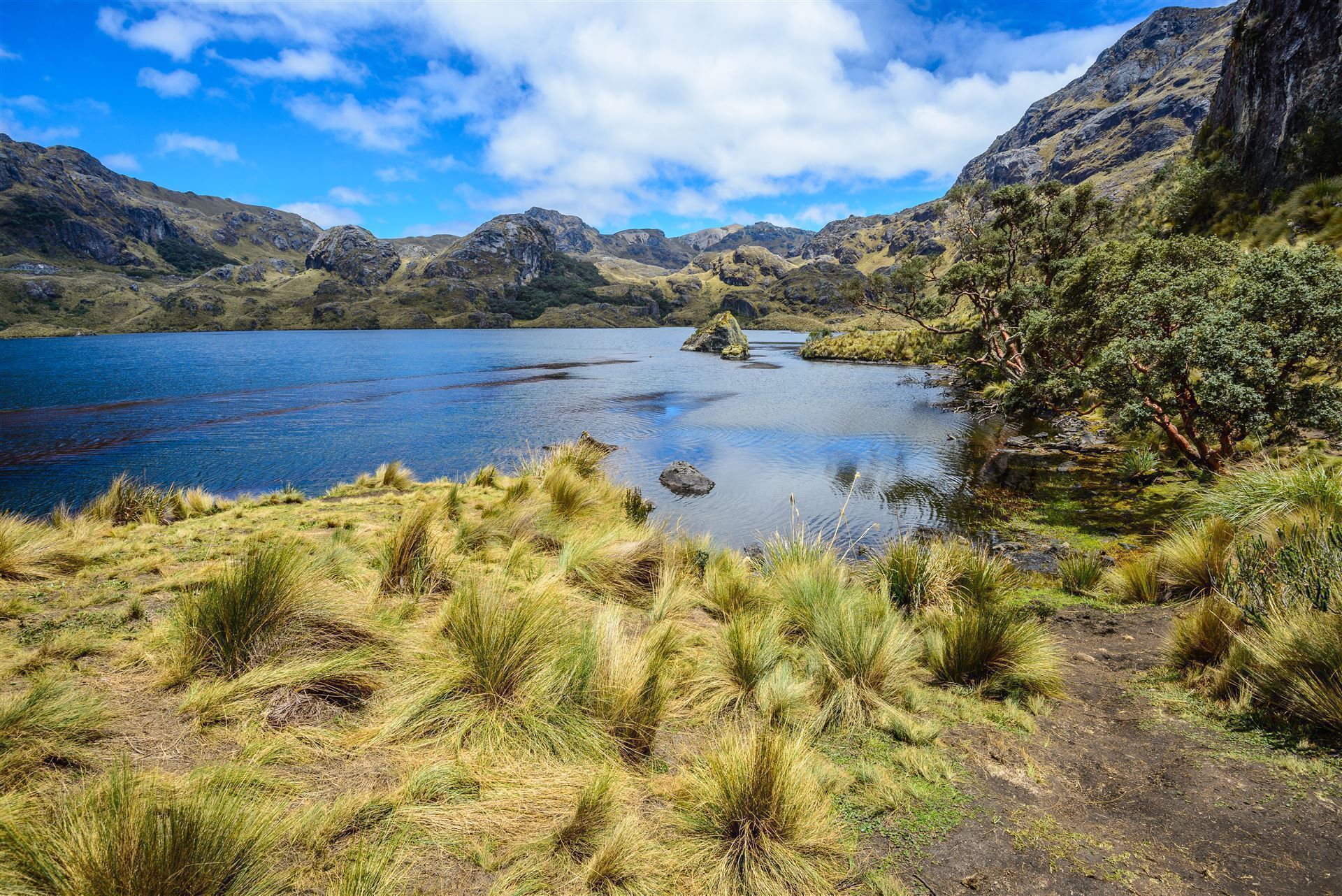 Caja Nationalpark mit Toreadora See