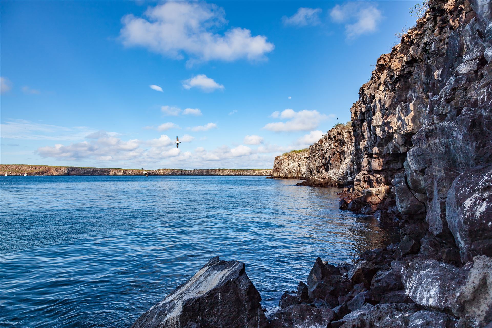 Darwin Bay