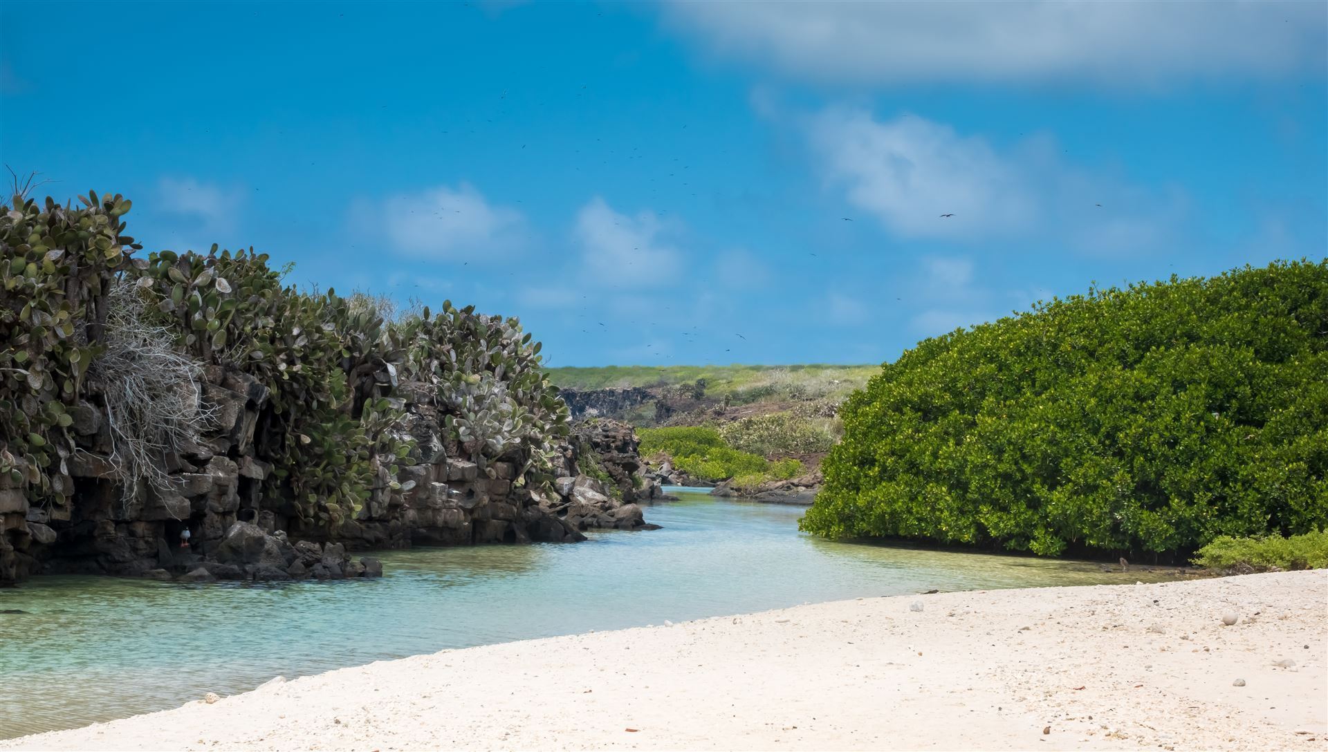 Sandstrand von Insel Genovesa