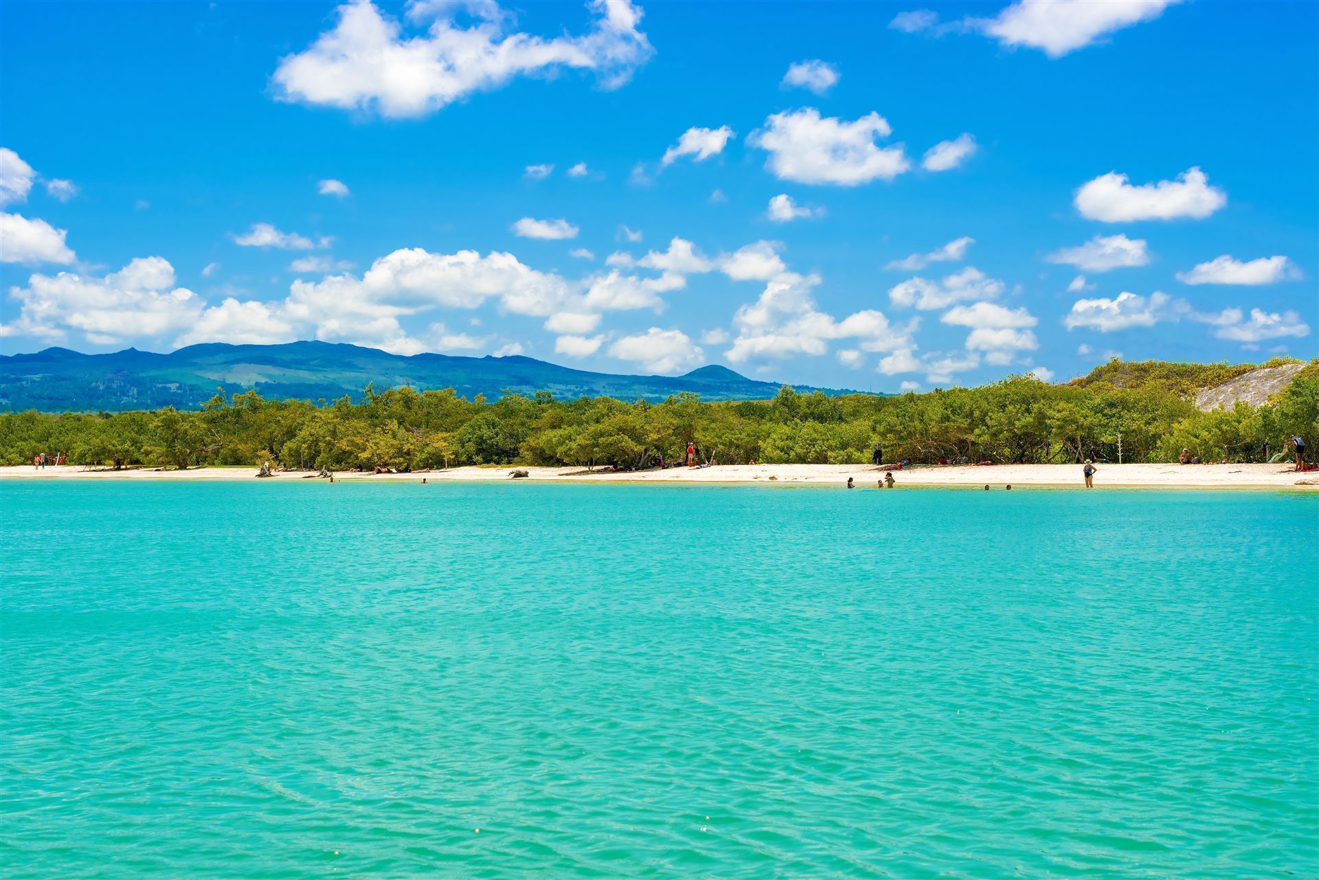 Tortuga Bay Beach