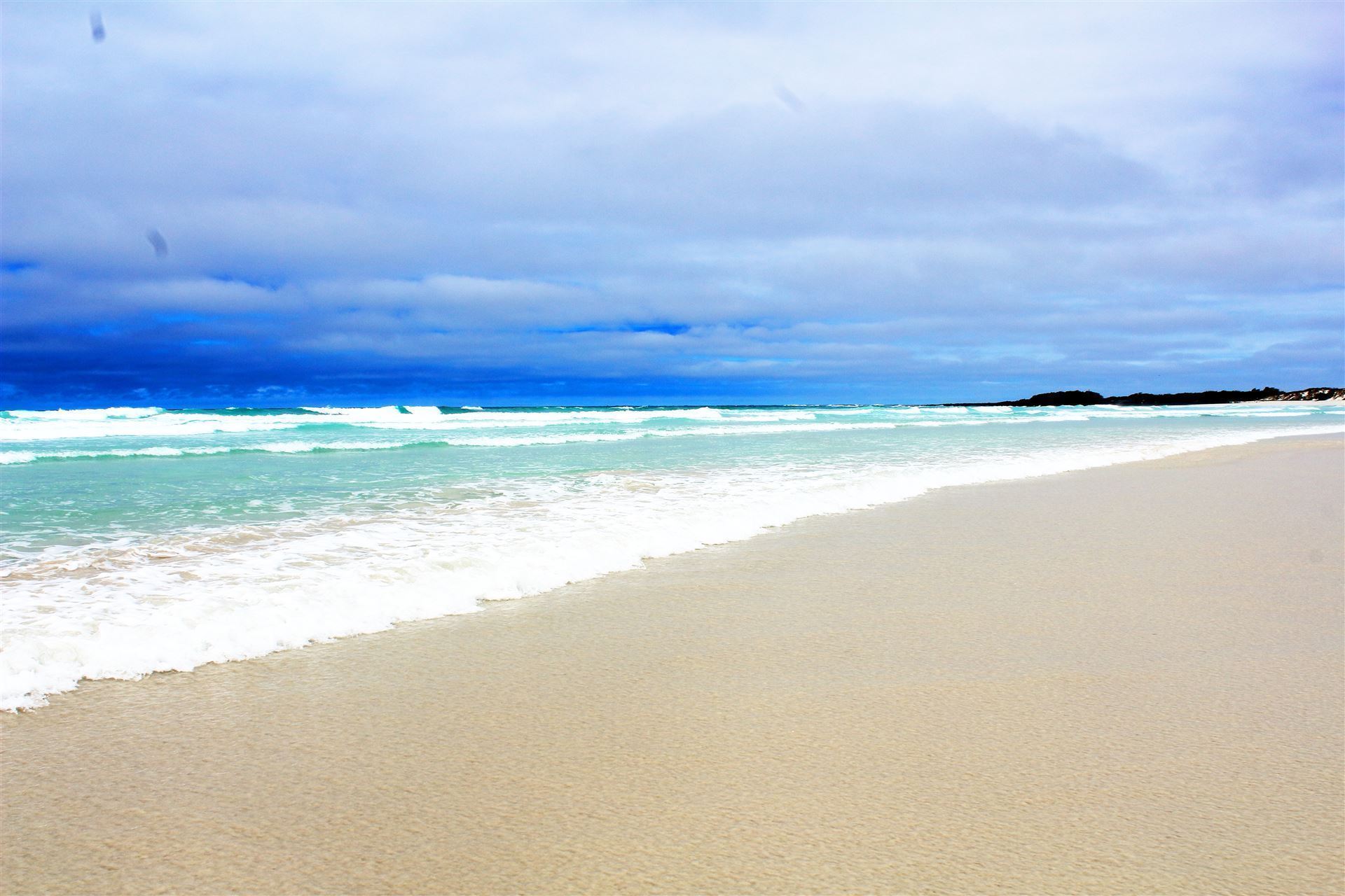 Tortuga Bay