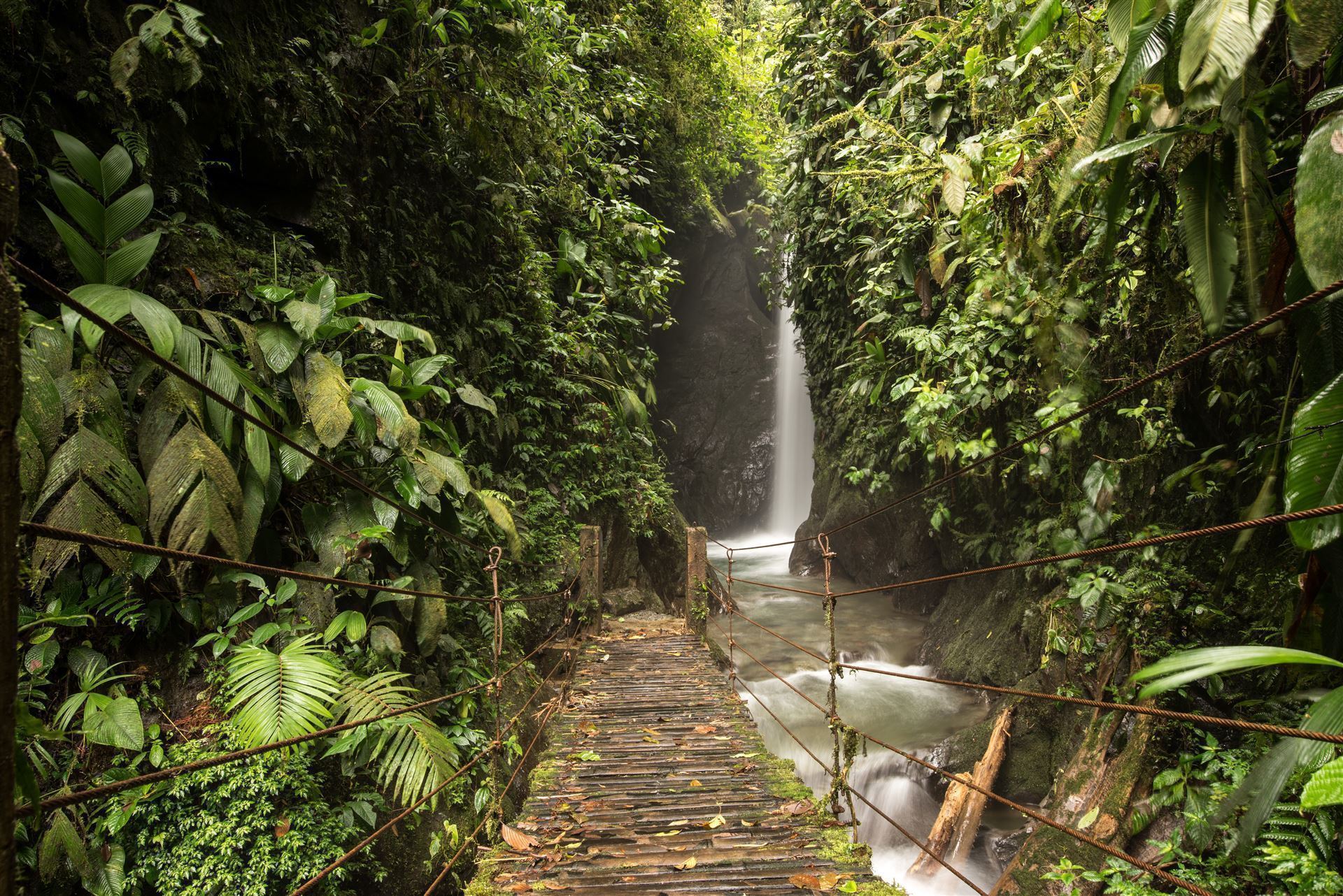 Wasserfall im Regenwald