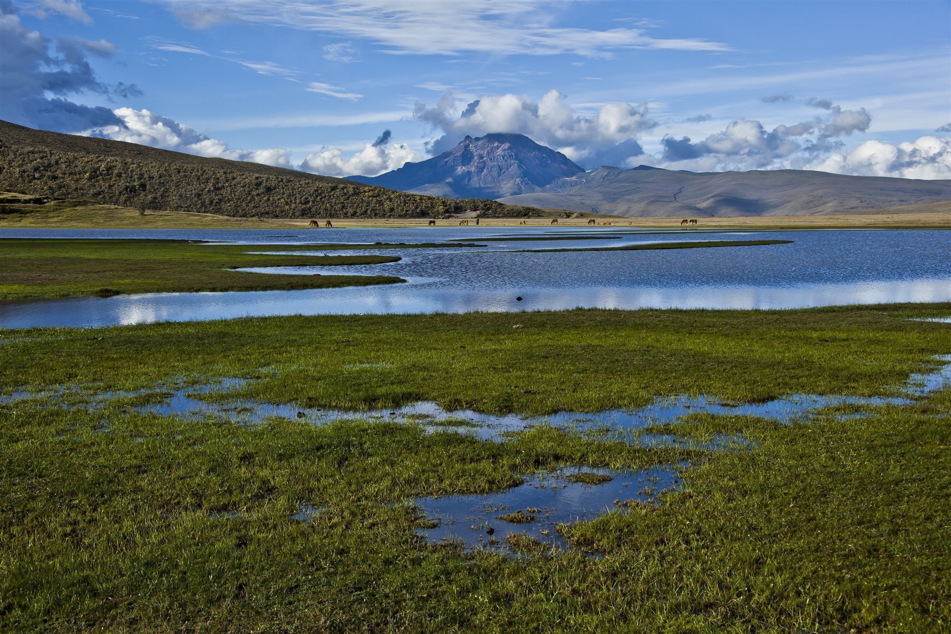 Landschaft in Cotopaxi