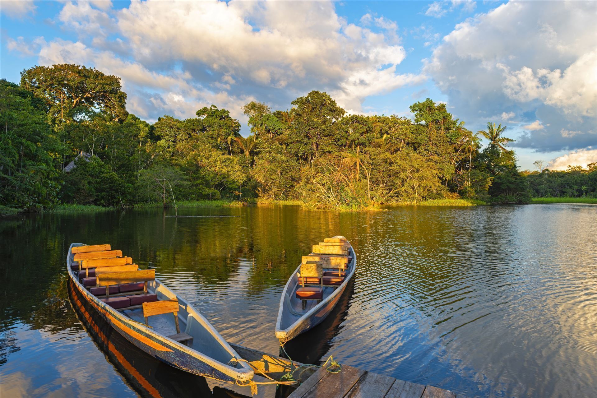Amazonas im Yasuni Park