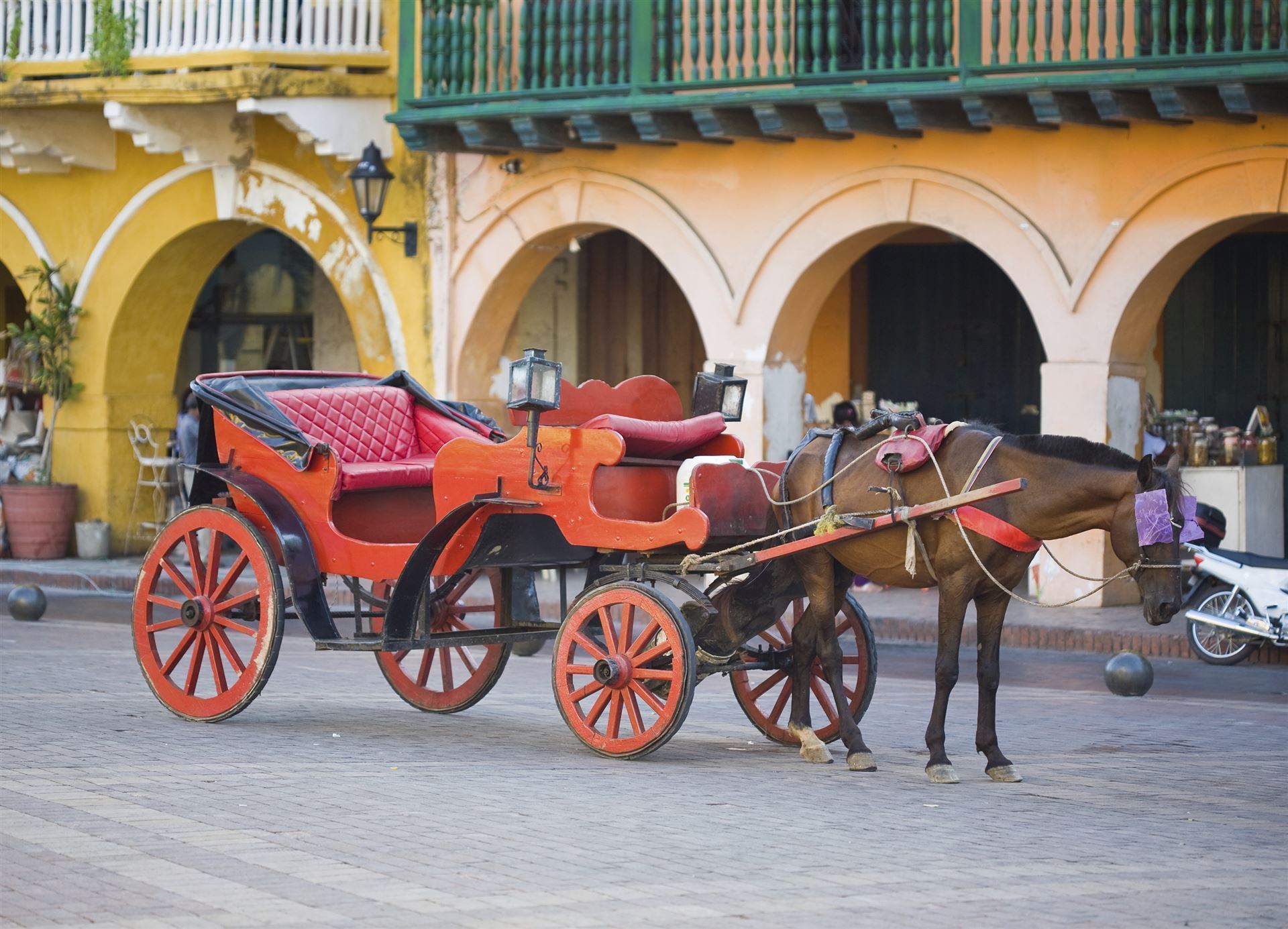 Kutsche in Cartagene