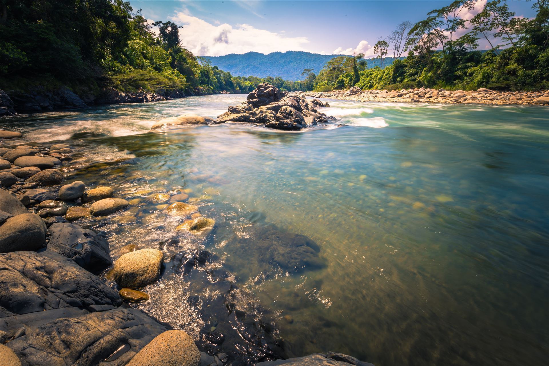 Manu Nationalpark mit Wasserlauf