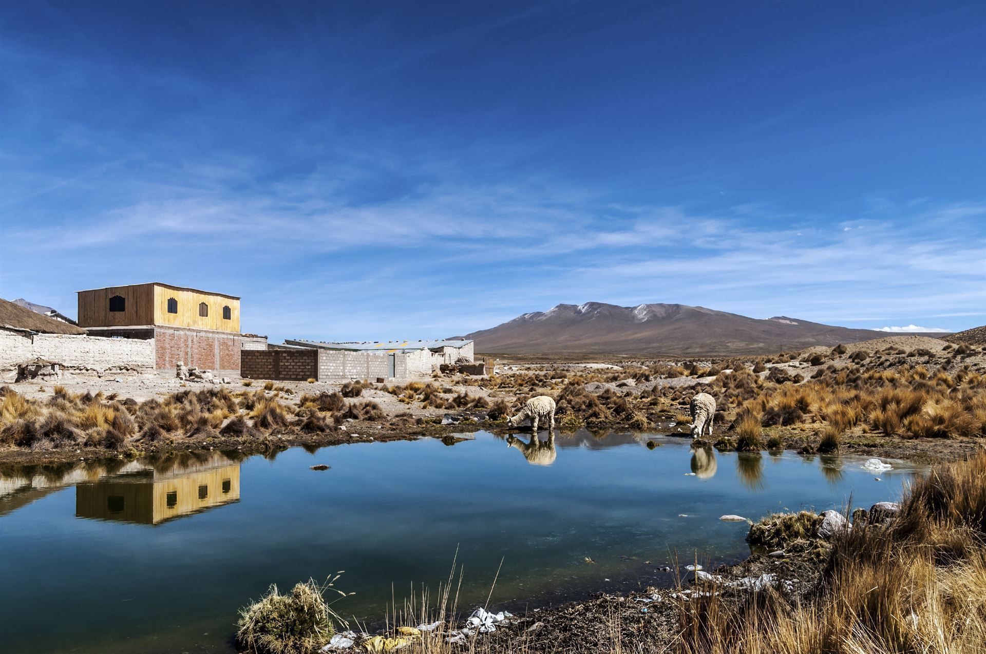 Peru Arequipa Region Impression