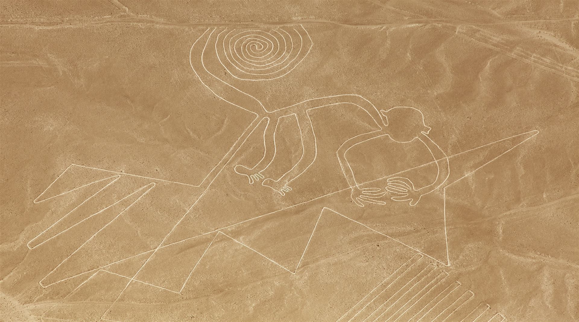 Linien mit Affen