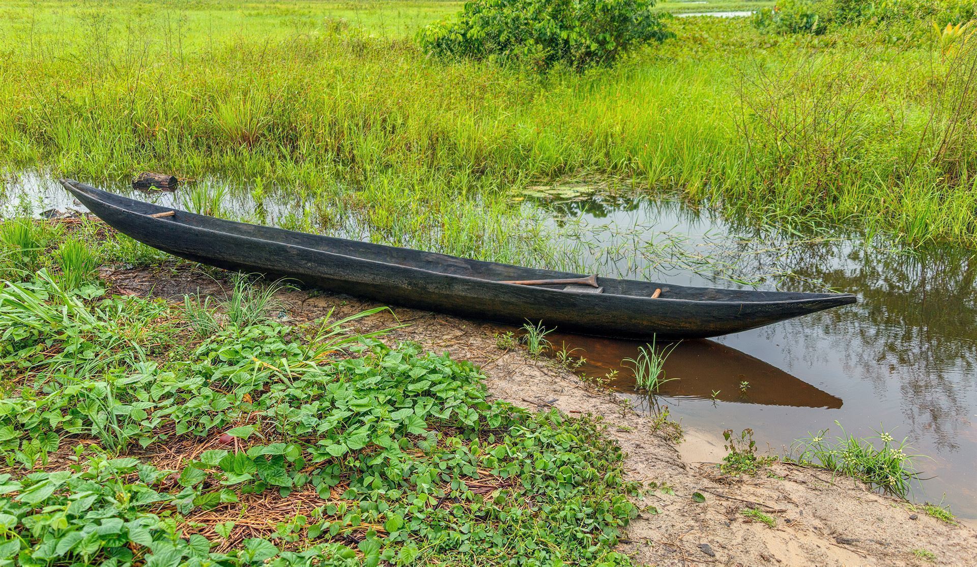 Orinoco Delta mit Boot