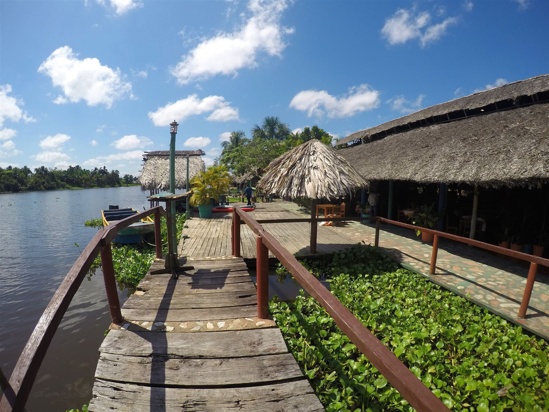 Orinoco Delta mit Steg