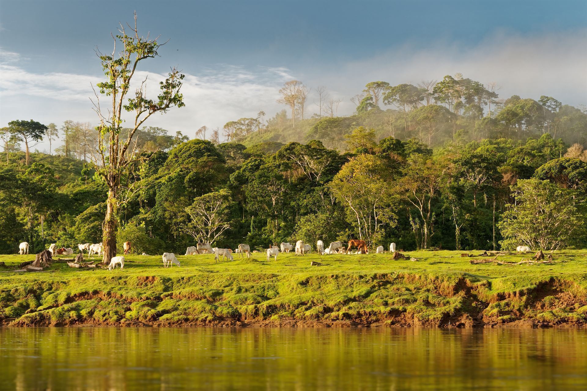 Landschaft von Boca Tapada am Rio San Carlos