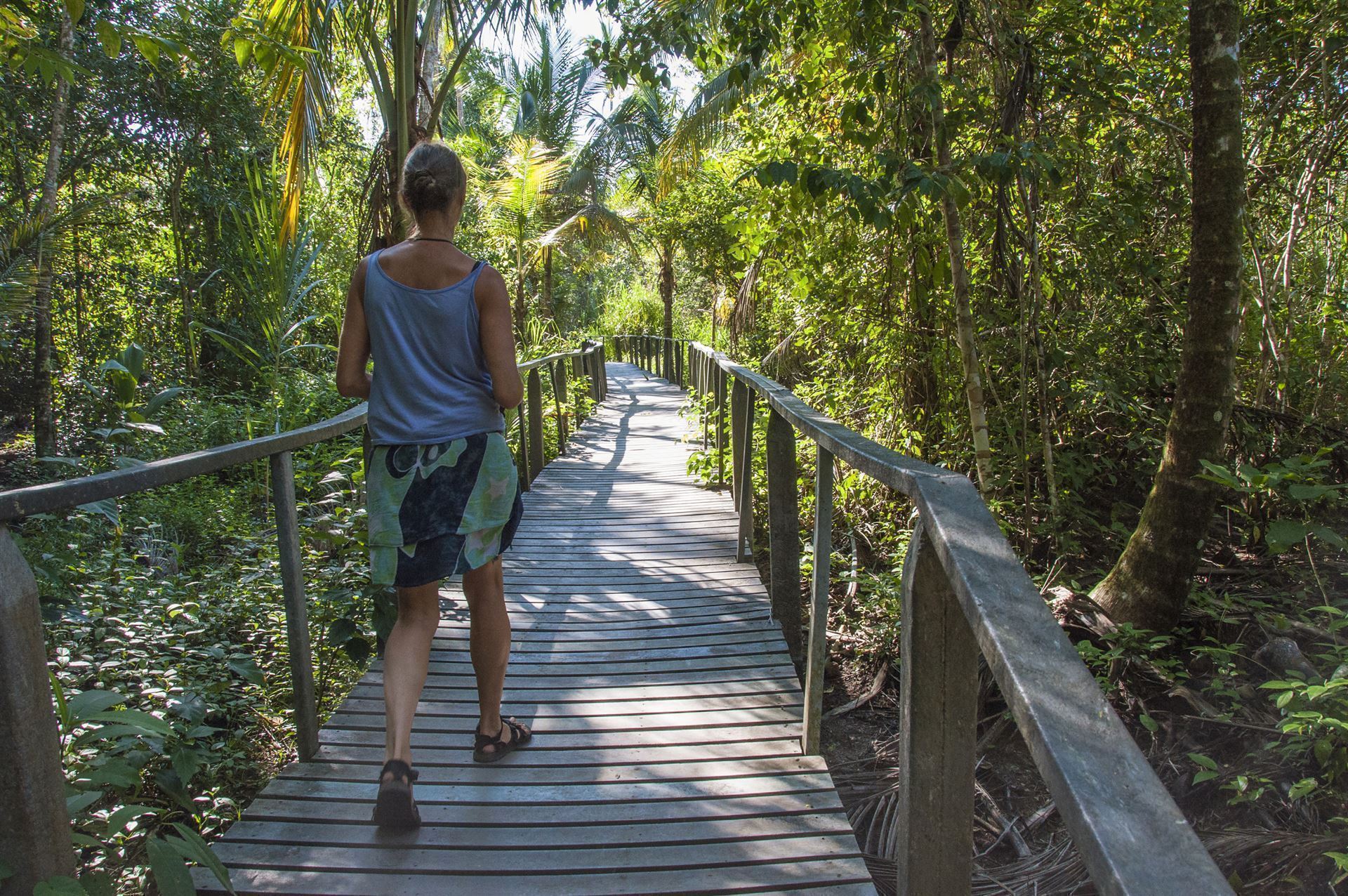 Pfad im Cahuita Nationalpark
