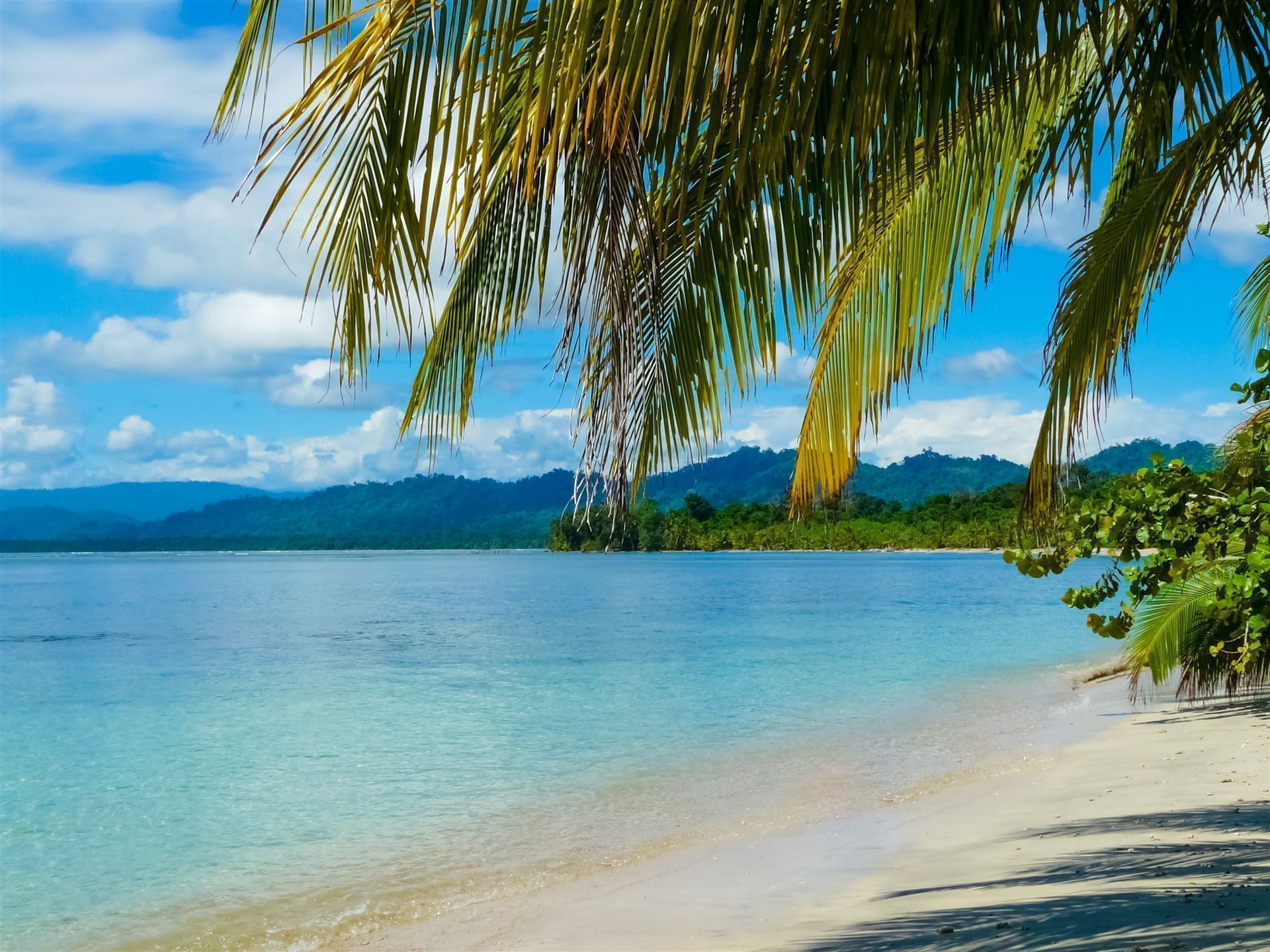 Cahuite Beach