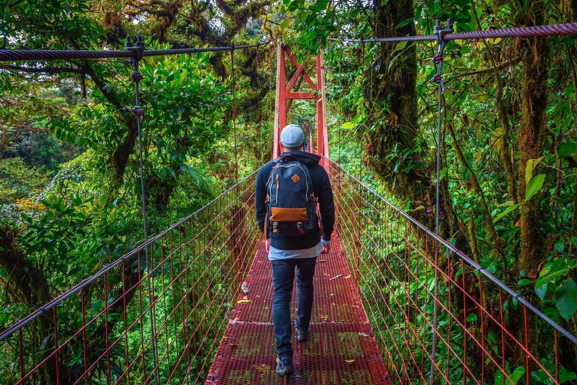 Monteverde Hängebrücke