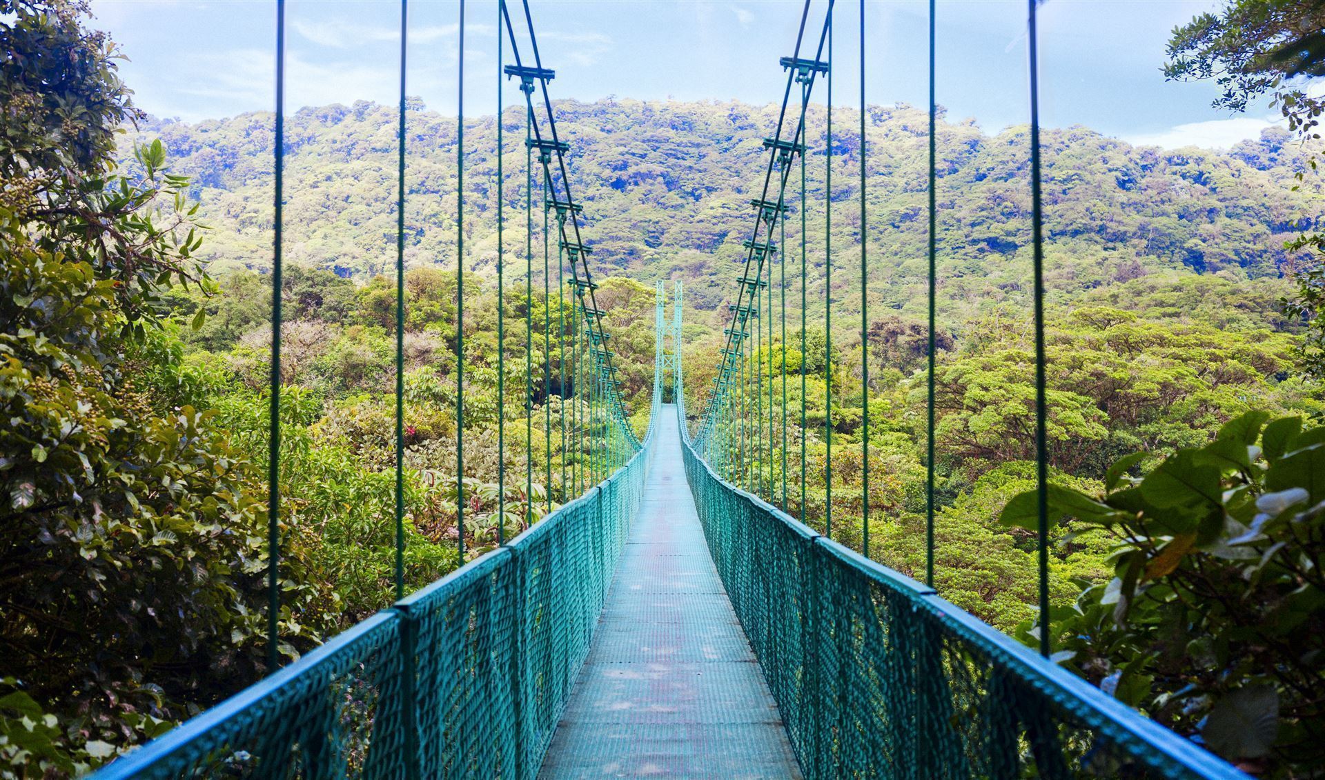 Hängebrücke Monteverde
