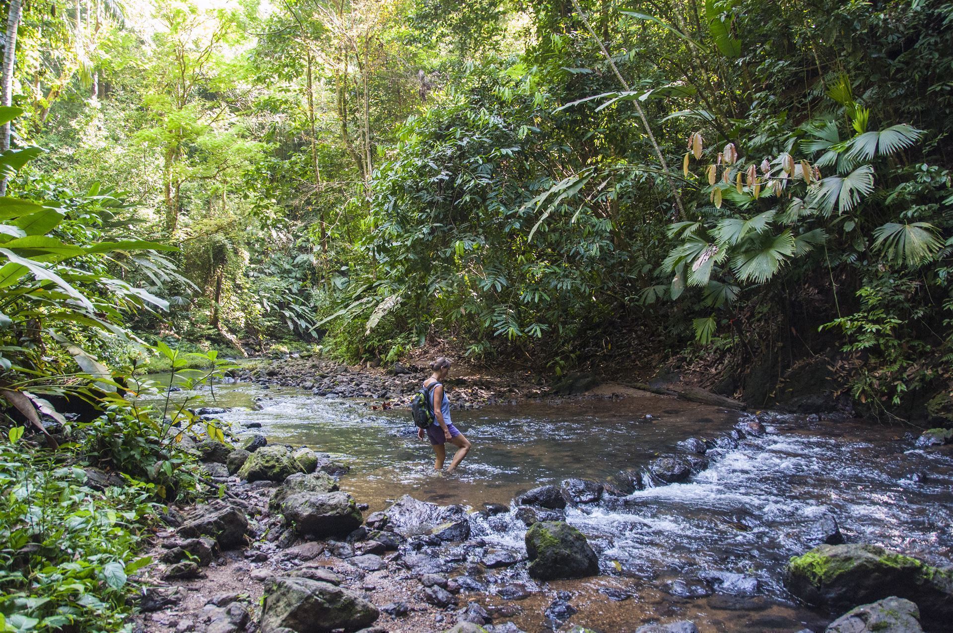 Fluss im Corcovado National Park, Halbinsel Osa