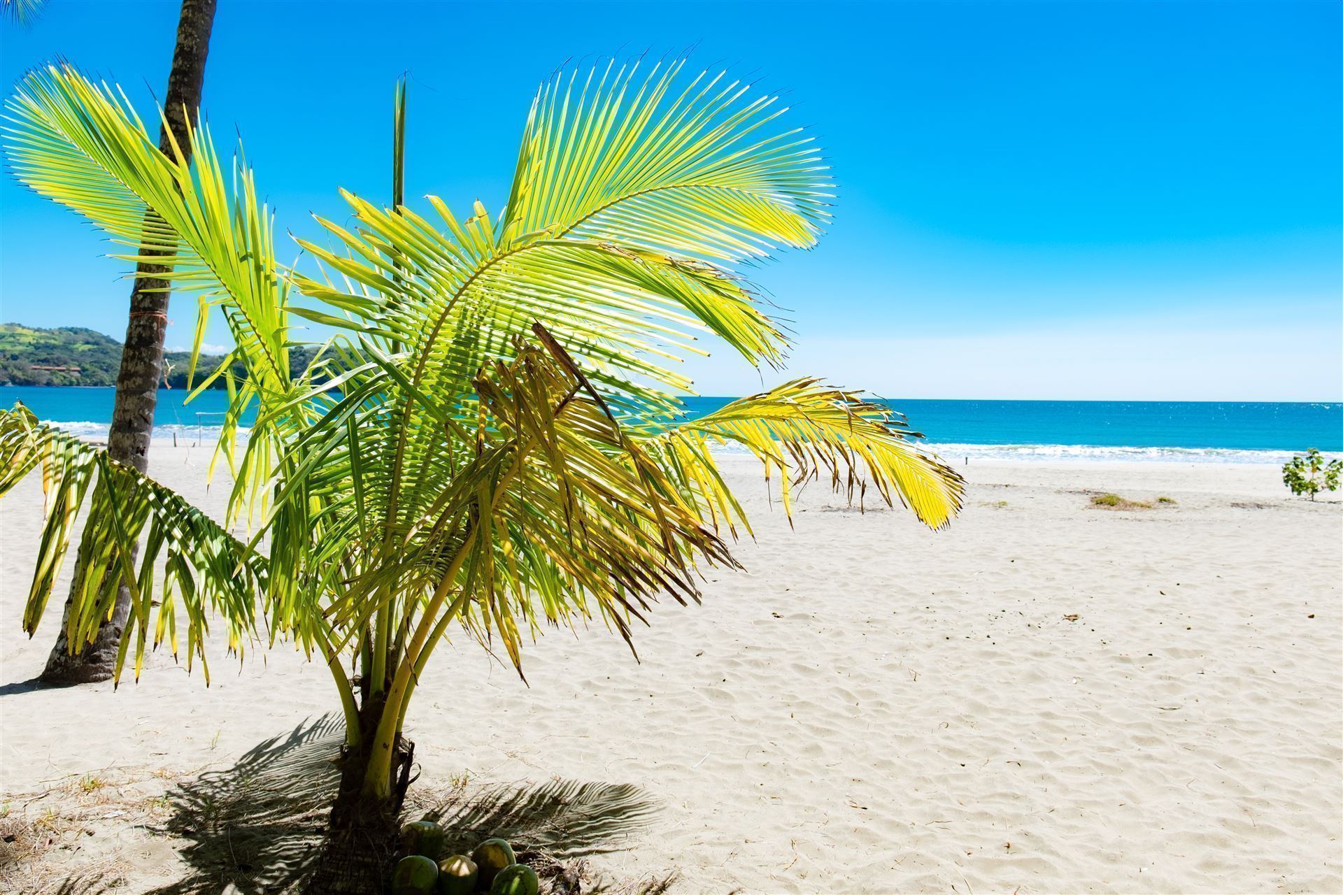Strand von Puerto Carrillo