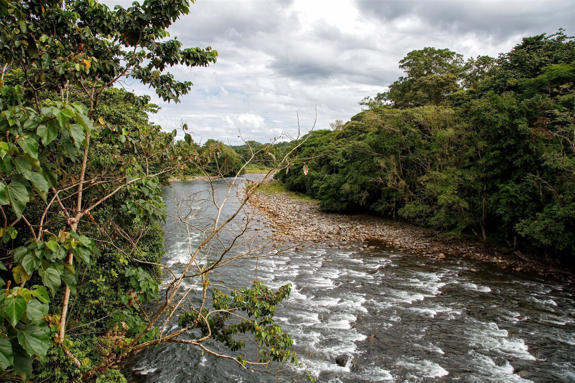 Landschaft des Flusses Sarapiqui in Costa Rica