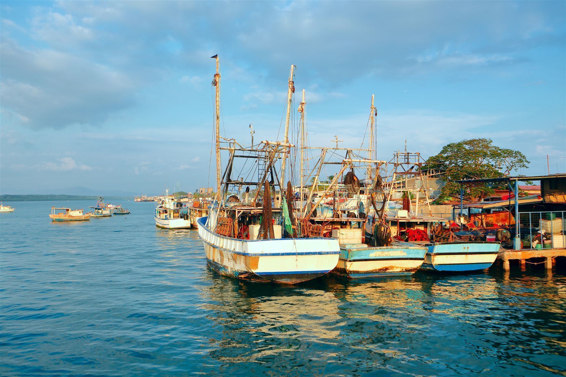 Fischerboote im Hafen von Puntarenas, Costa Rica