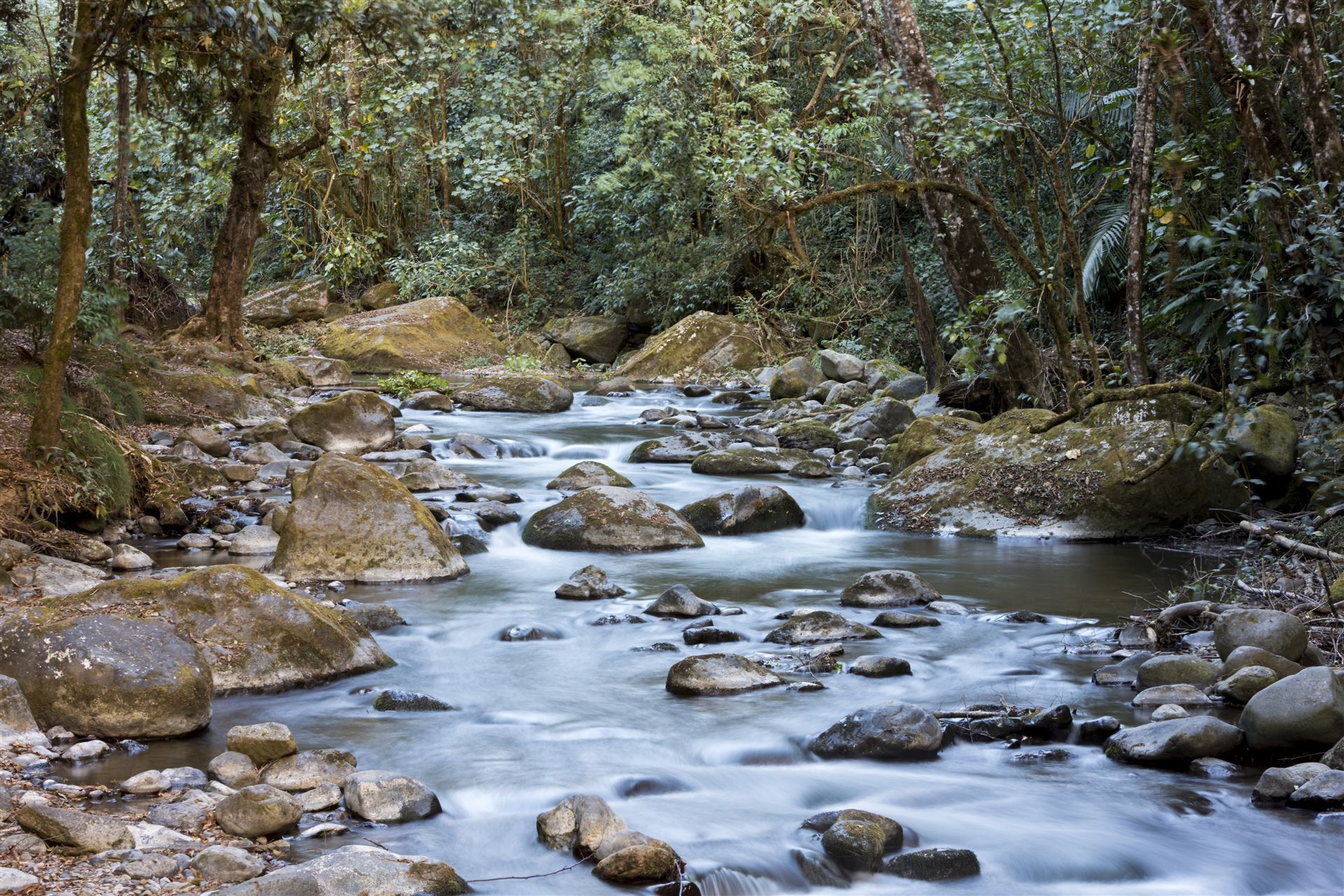Savegre River im Quetzales Nationalpark
