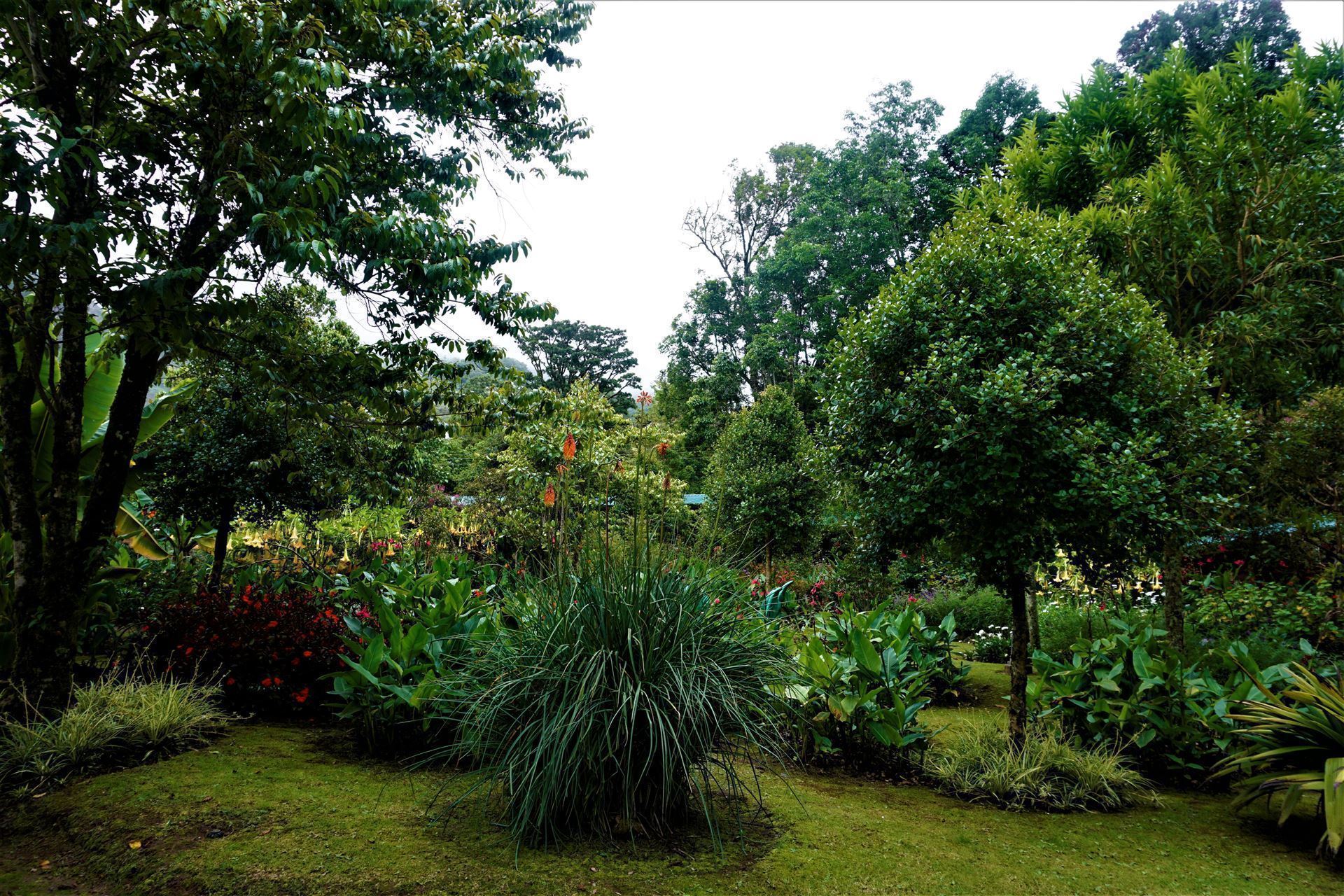 Garten in San Gerardo de Dota, Costa Rica
