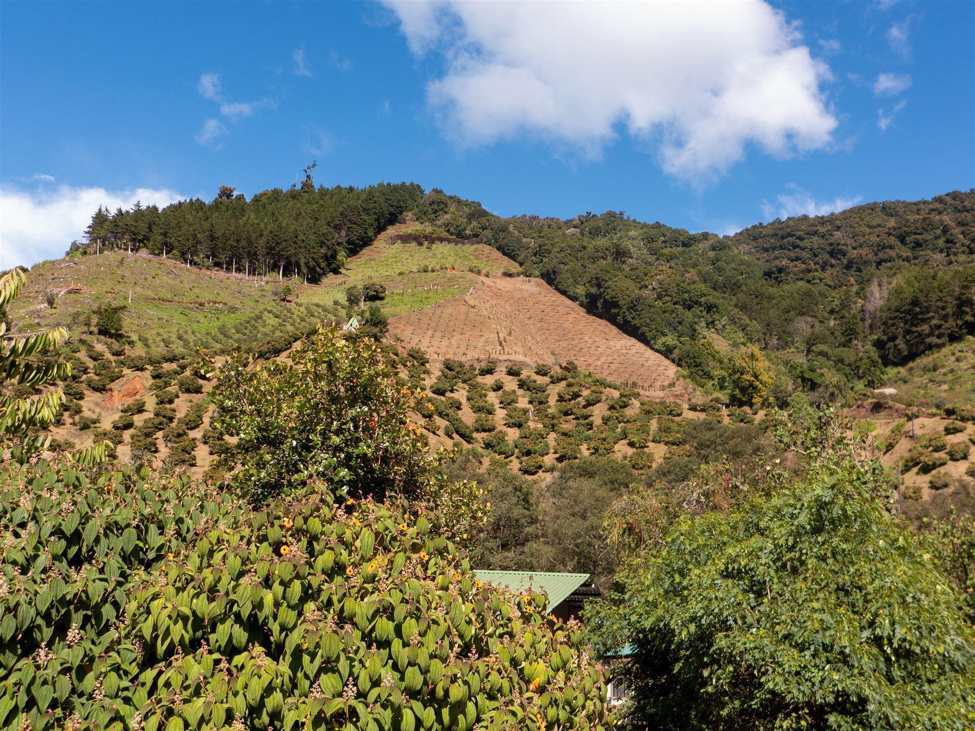 Landschaft im Savegre-Tal