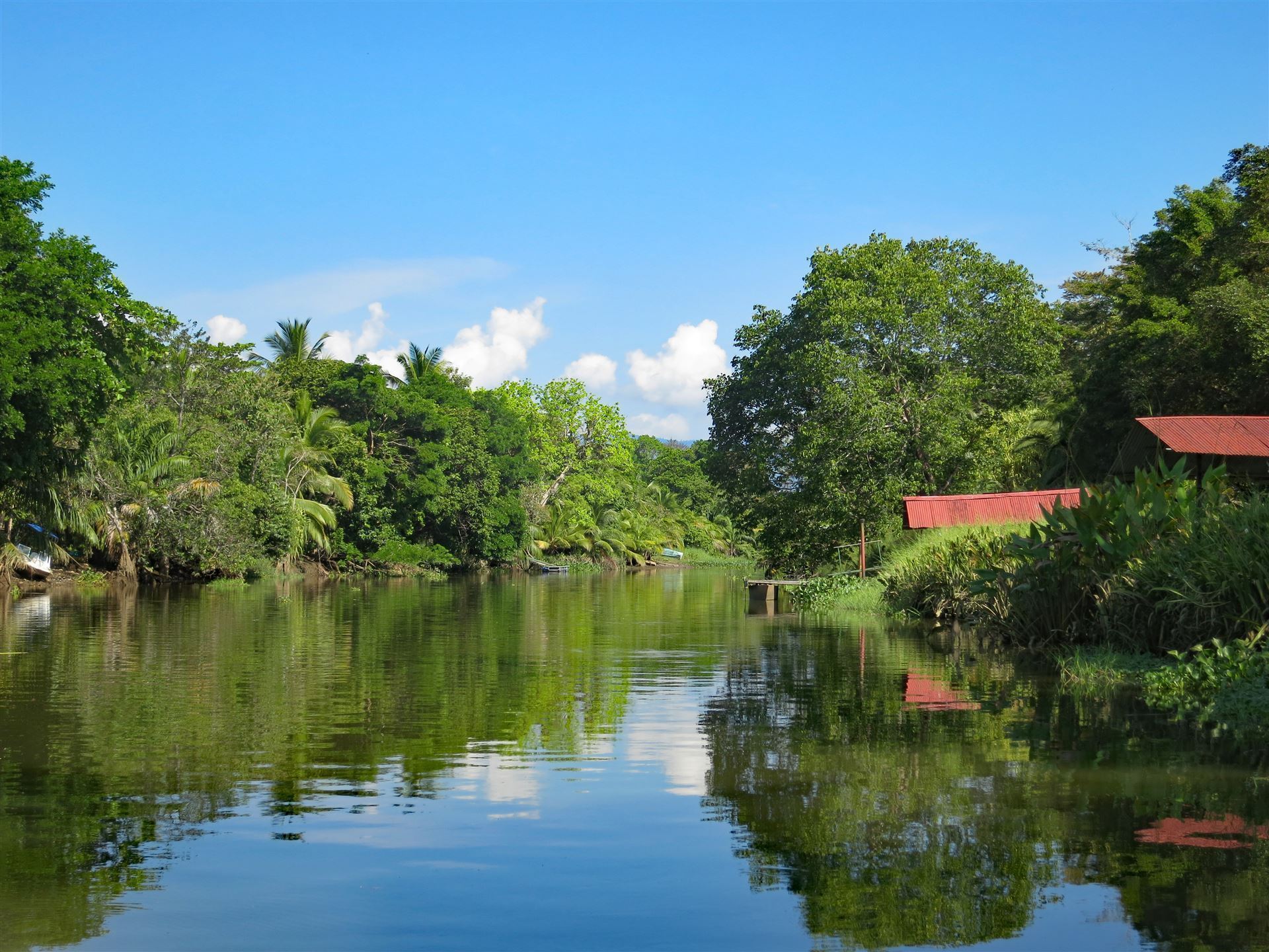 Landschaft um Sierpe, Costa Rica