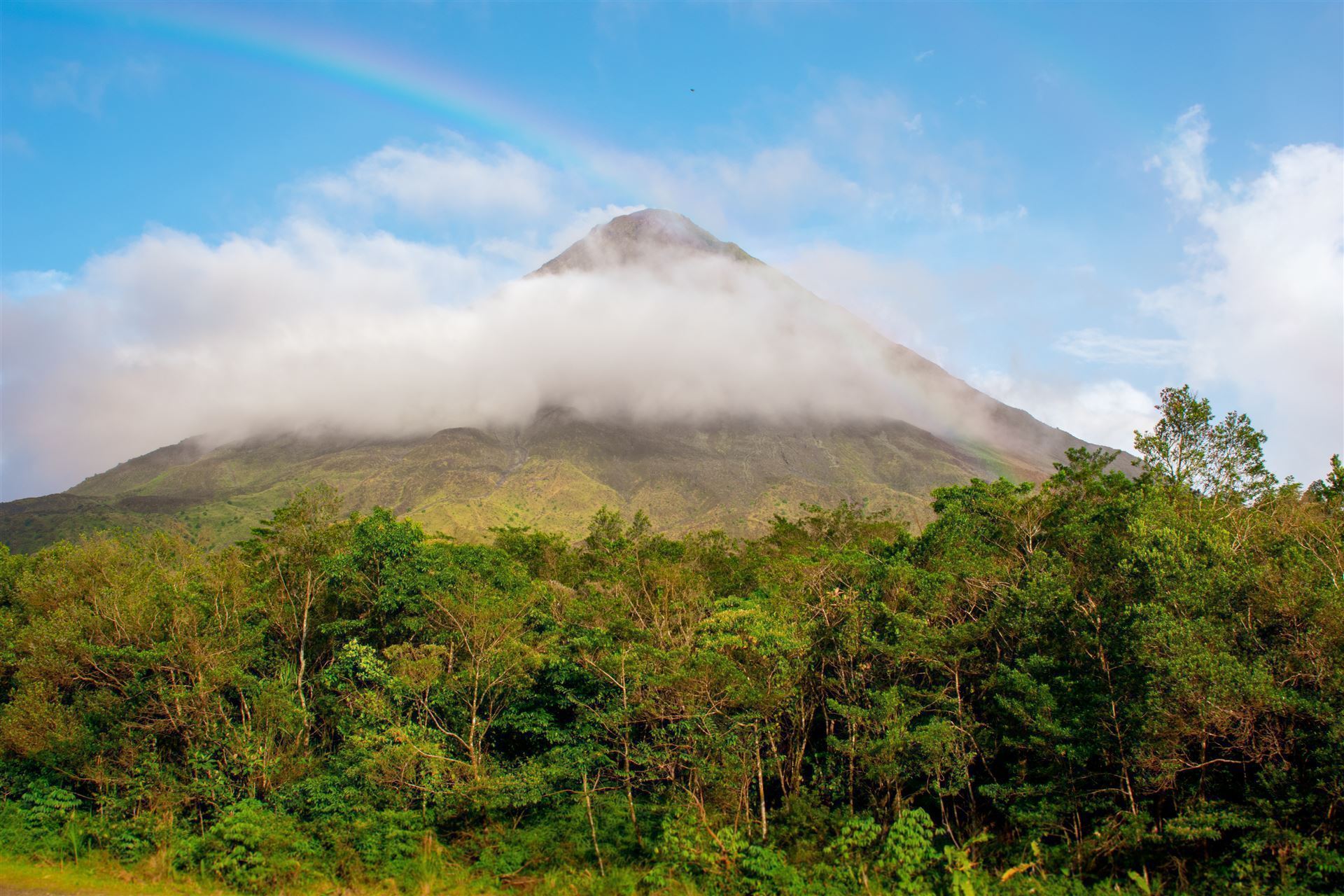 Volcan Tenorio
