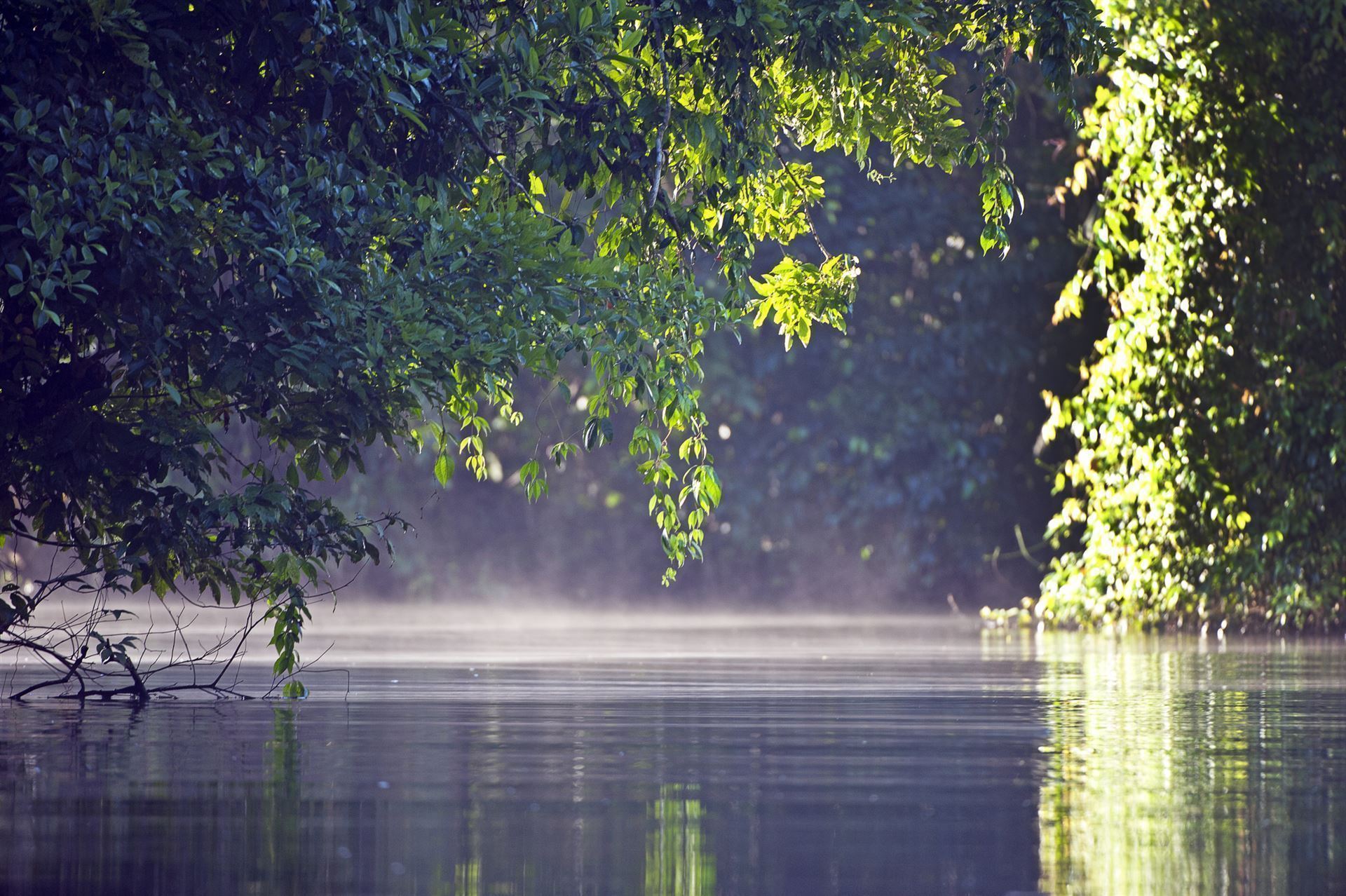 Tortuguero Kanal am frühen Morgen
