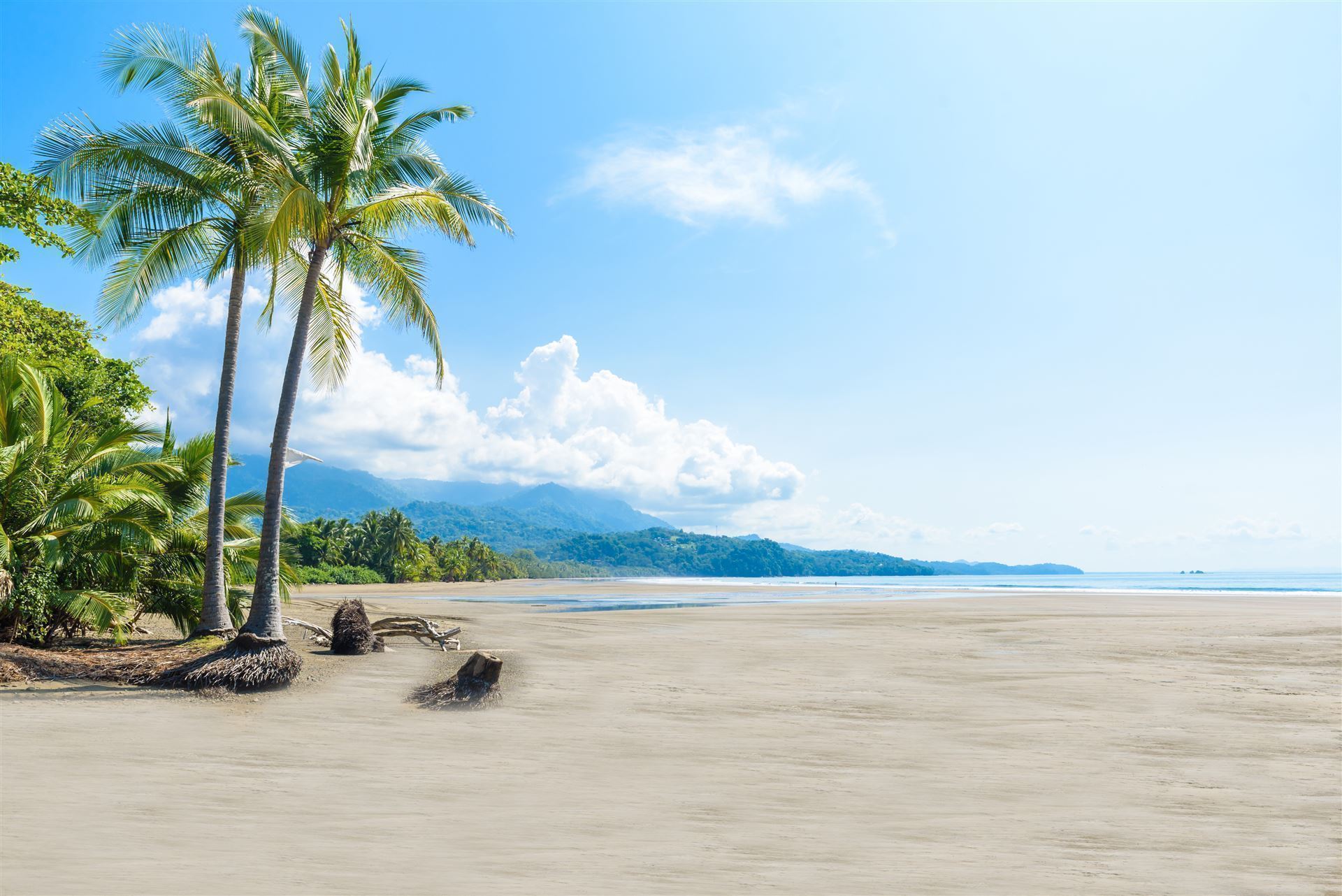 Marino Ballena Nationalpark 