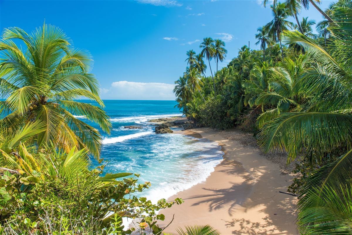Rundreisen.de - Costa Rica - Puerto Viejo