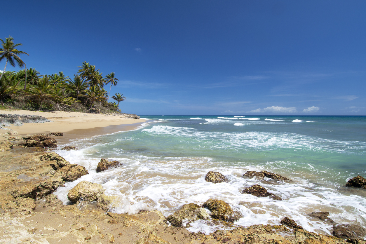 Strand mit Felsen