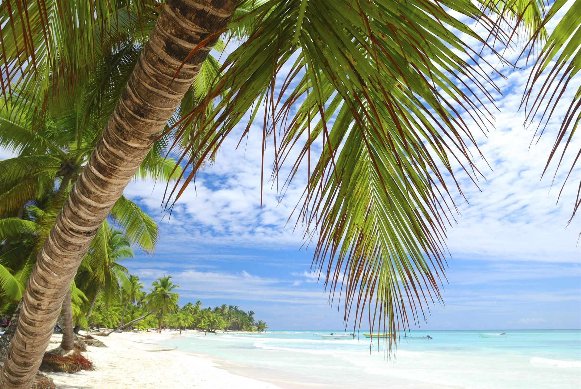 Dominikanische Republik Punta Cana Strand