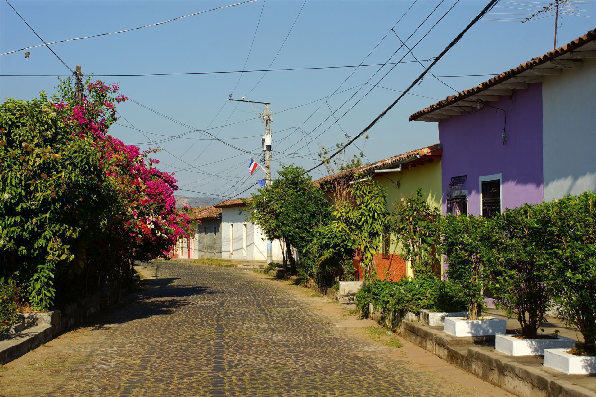 Street