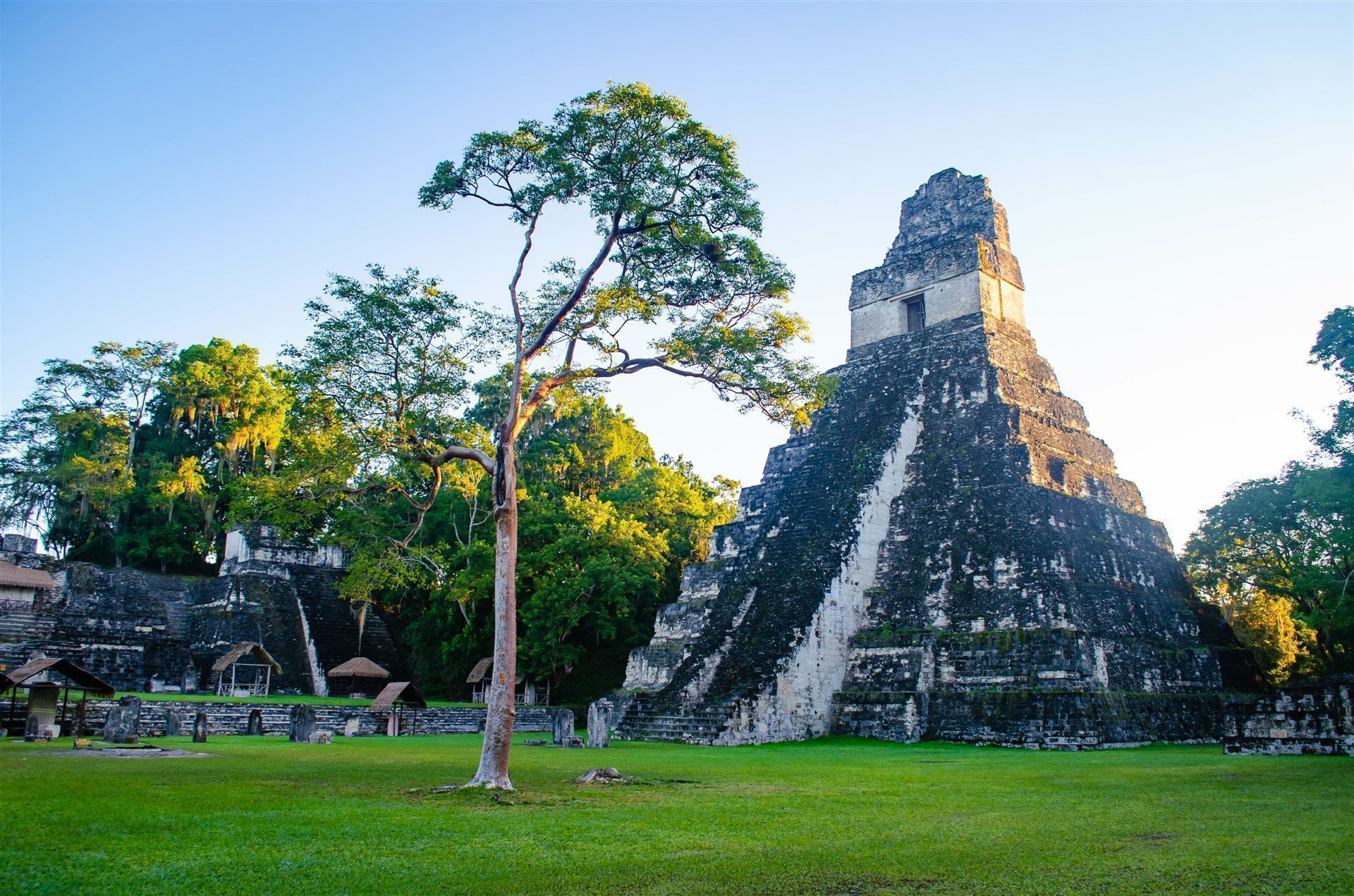 Ruine Tikal