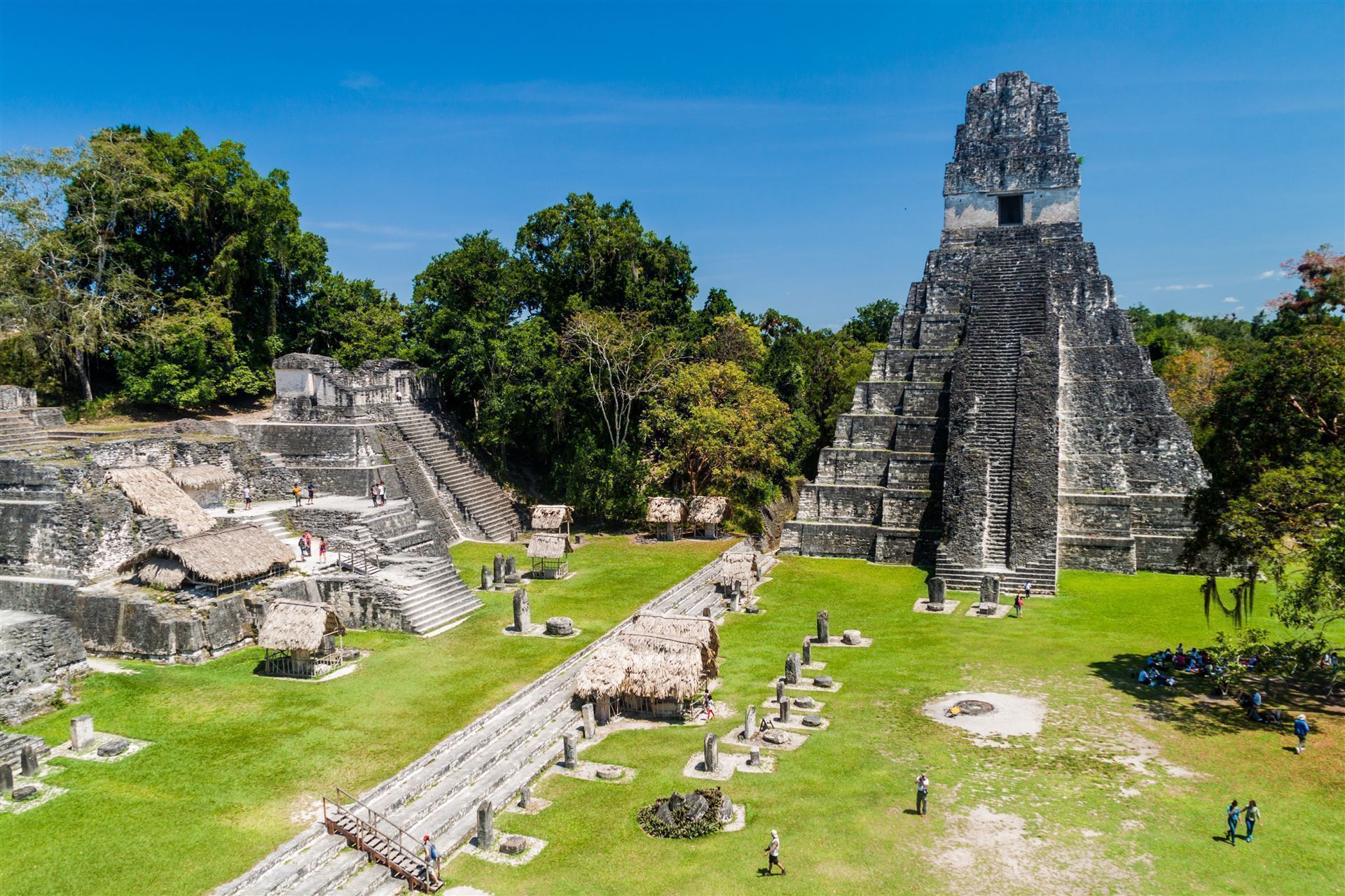 Tikal im Urwald