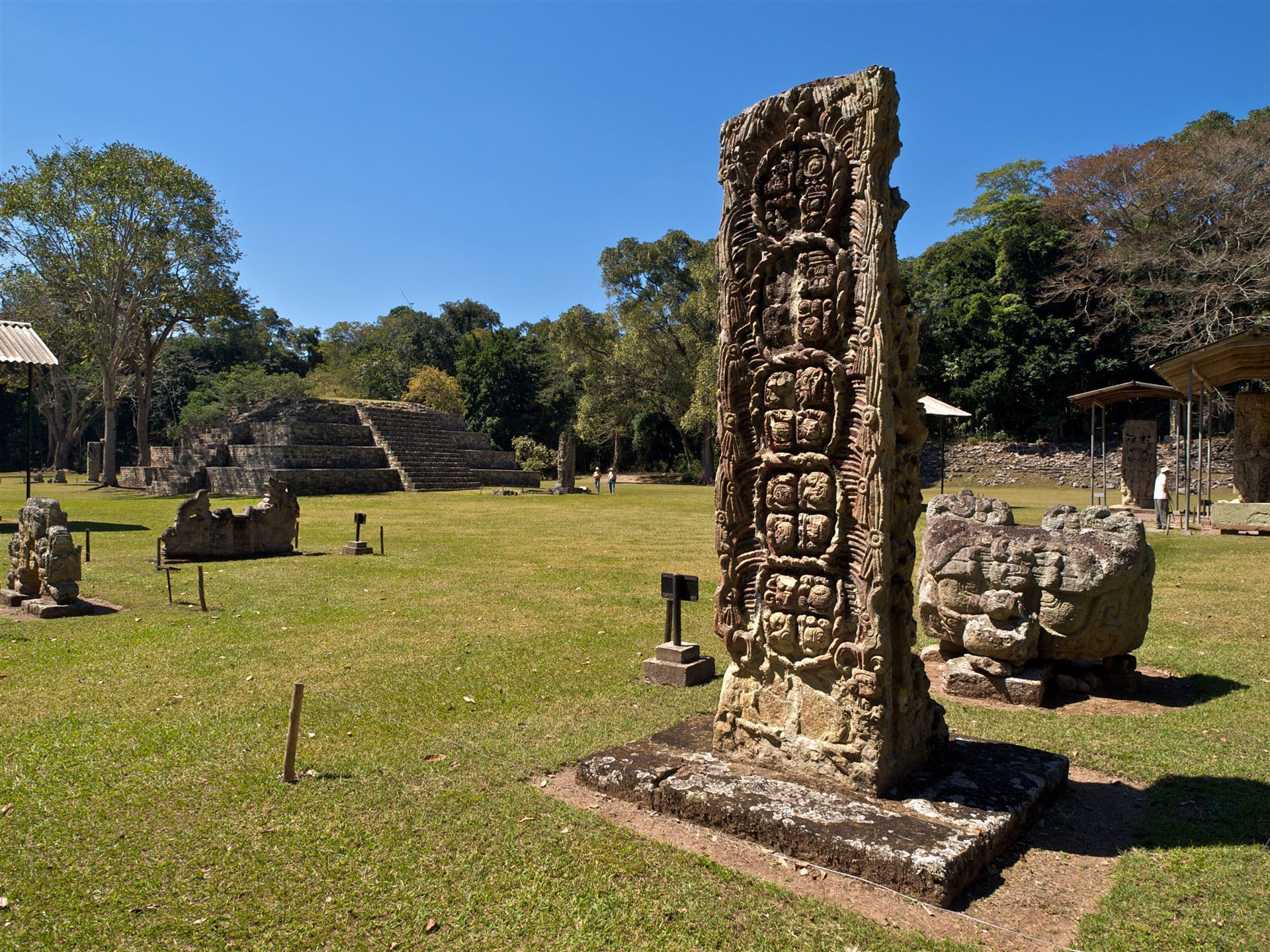 Stele