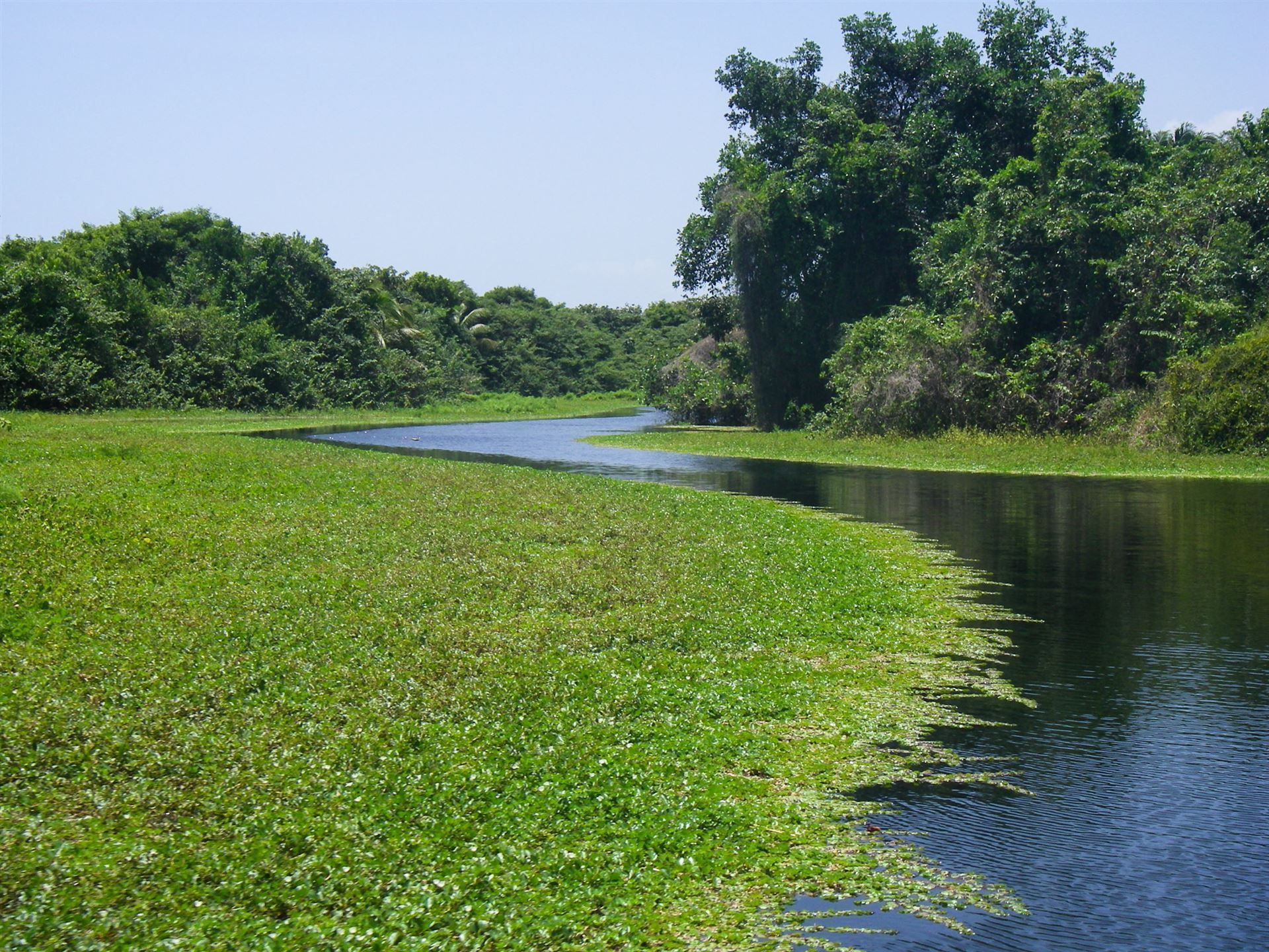 Fluss Cuero y Salado Reservat