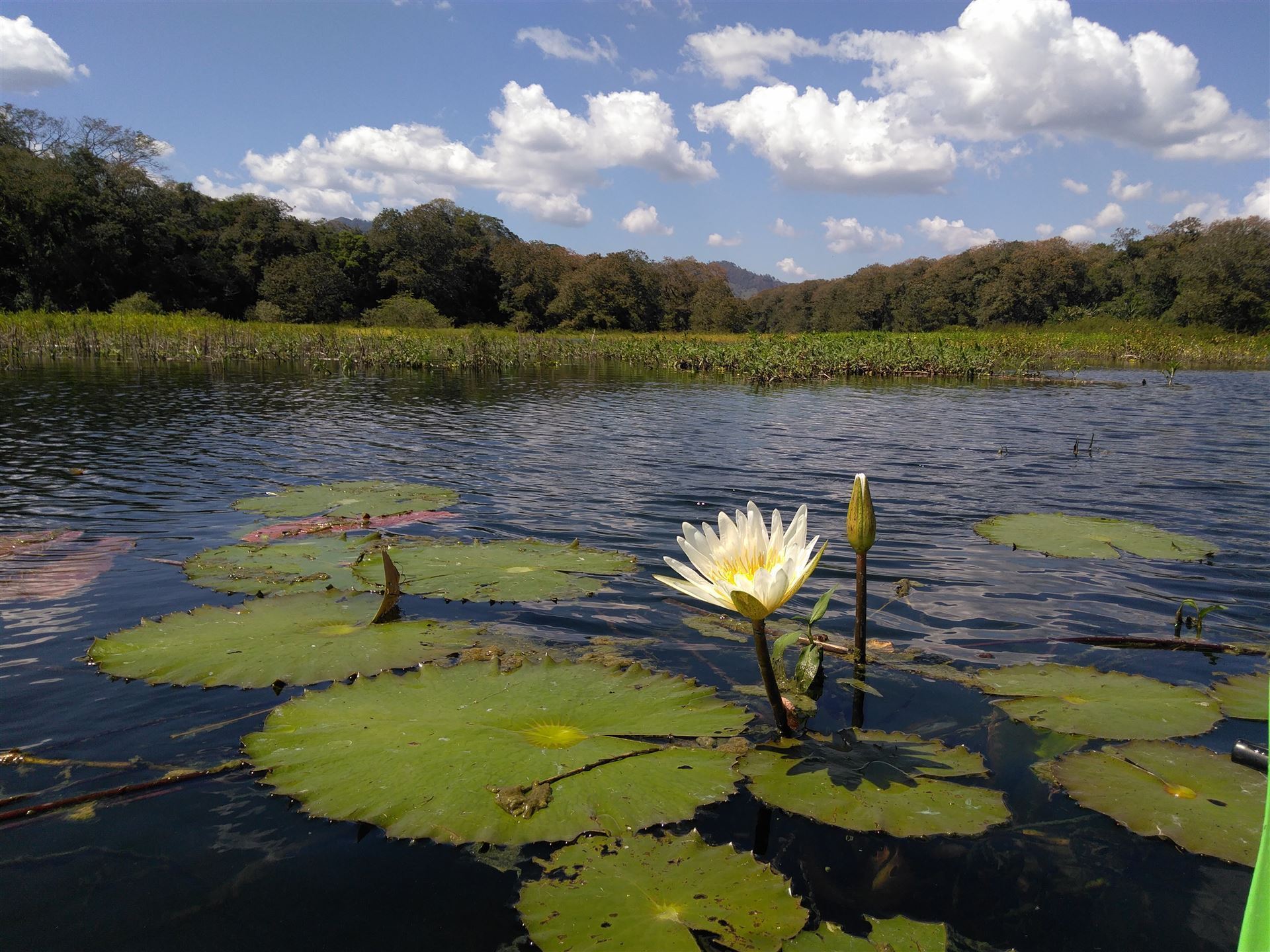 Lake Yojoa, Honduras