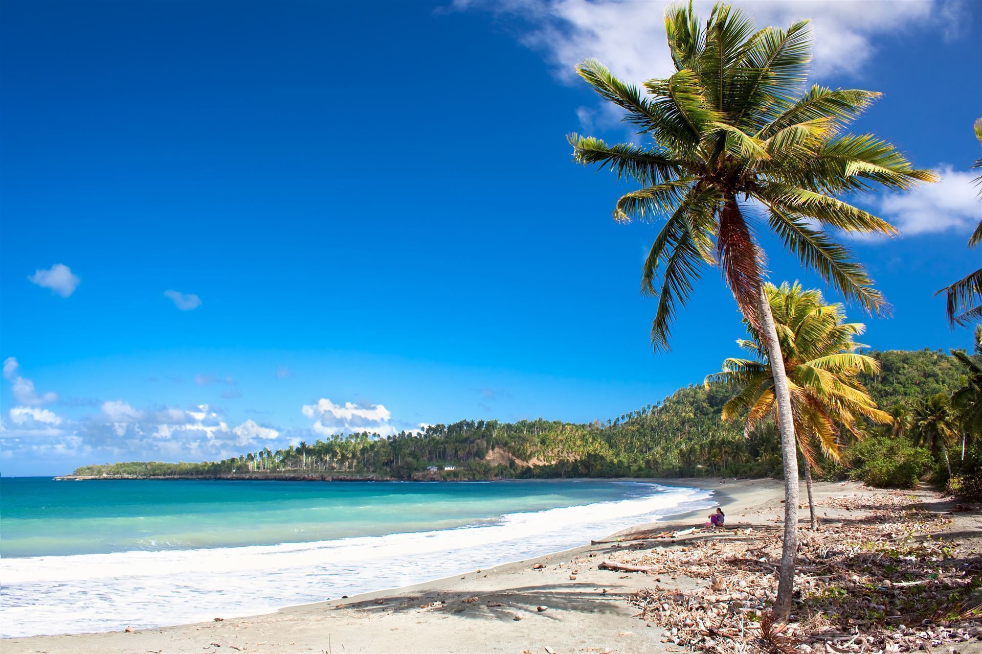 Beach mit Palmen
