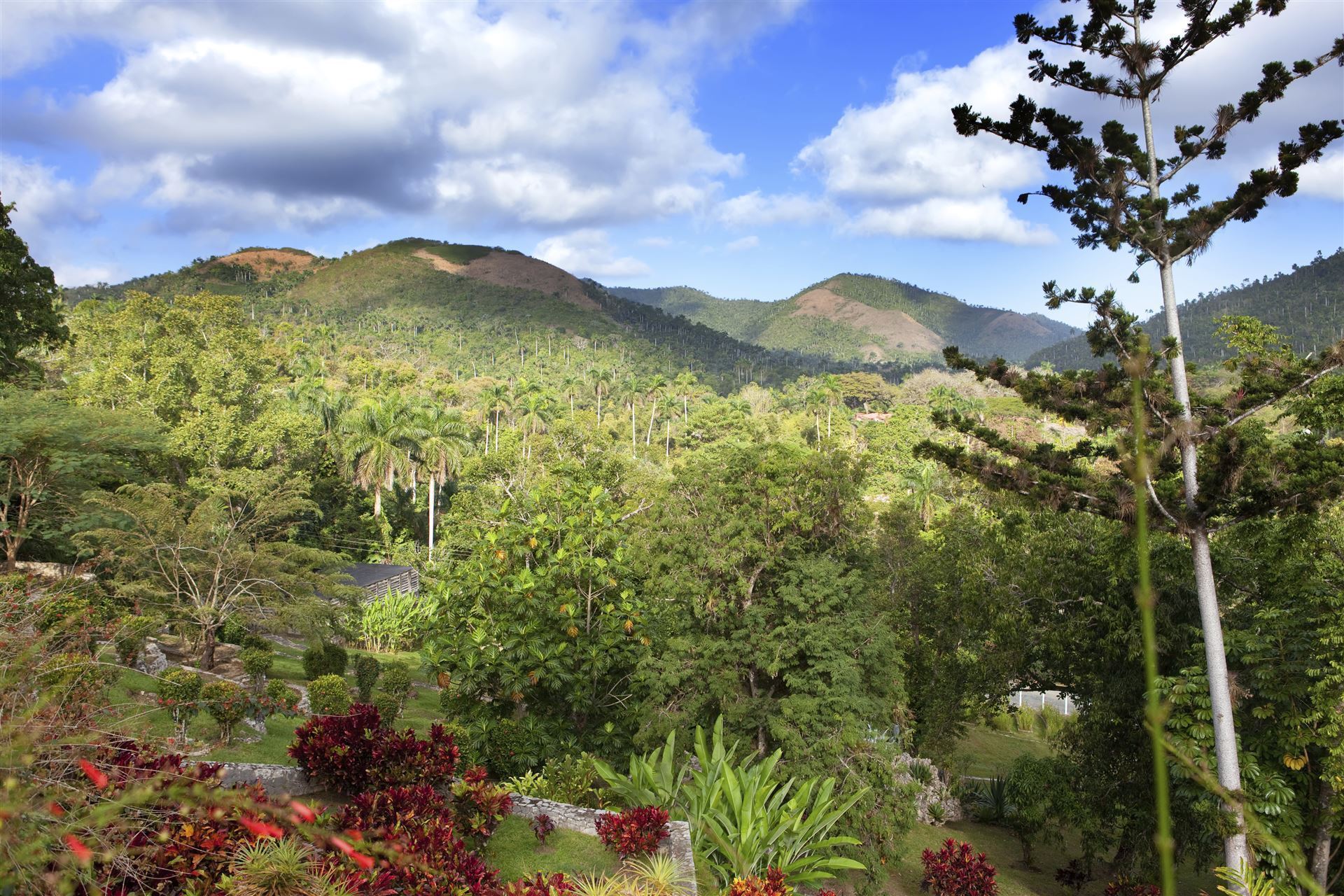 Kuba_Soroa_Botanischer Garten