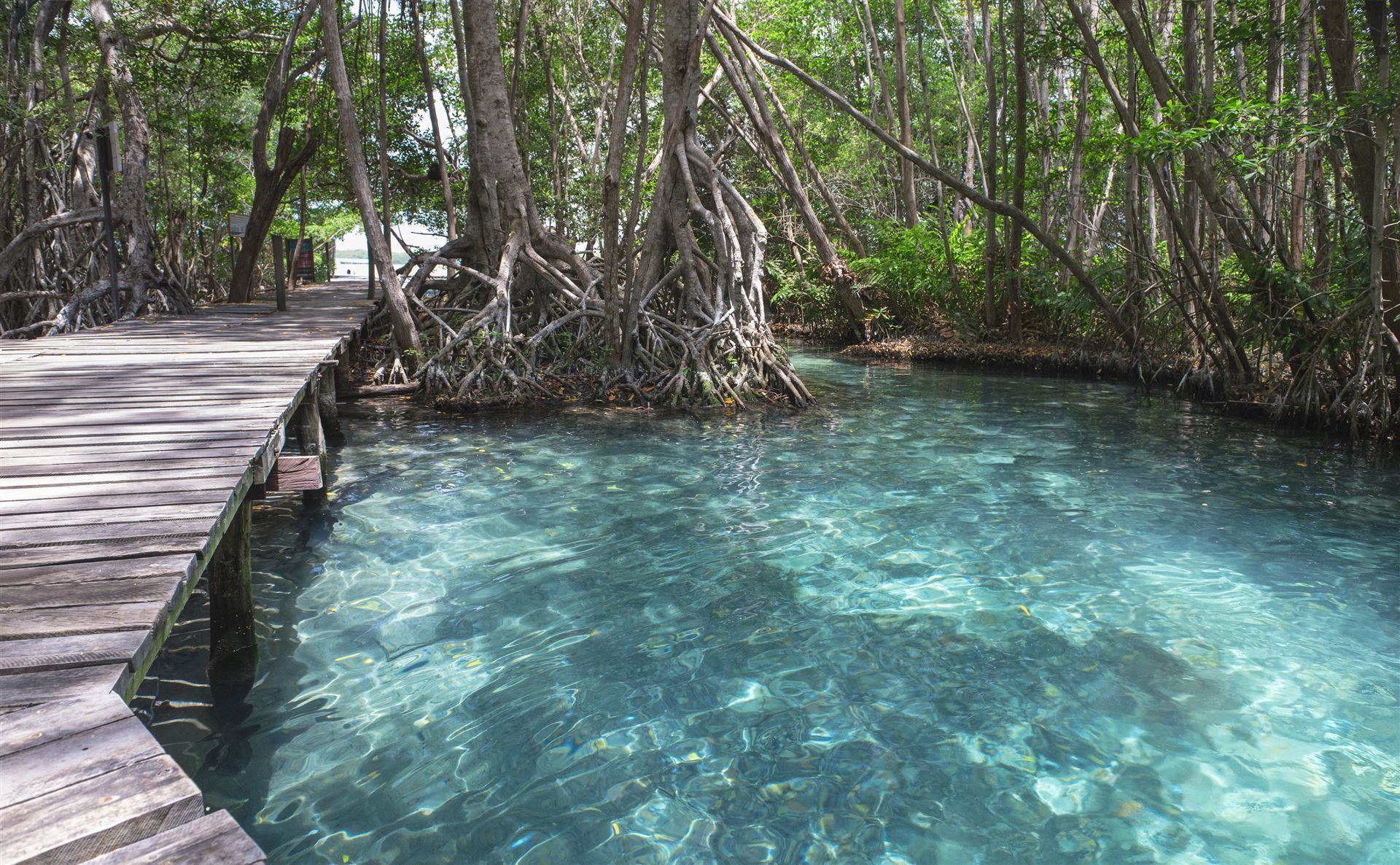 Mexiko Halbinsel Yucatan Nationalpark Celestune