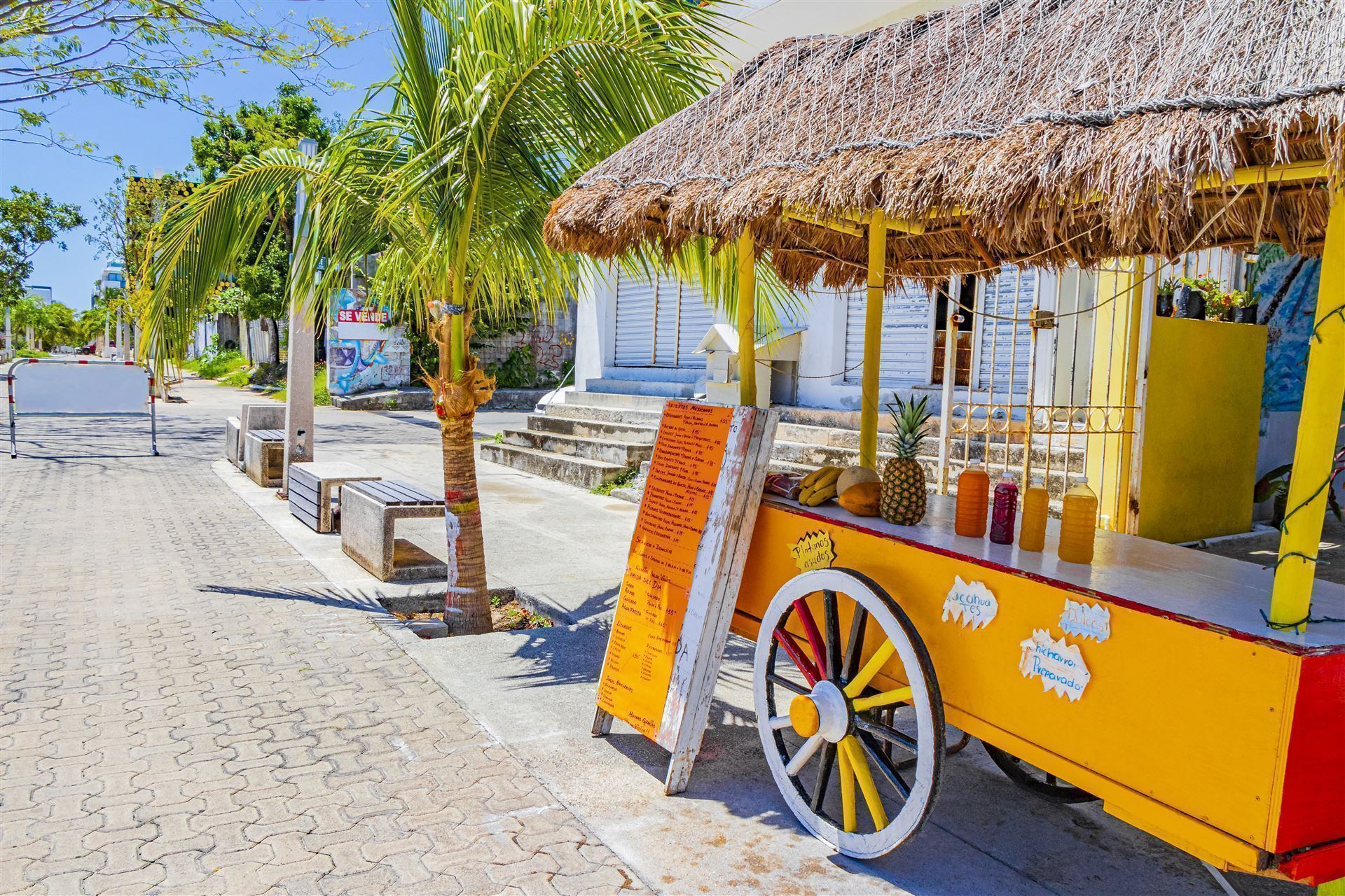 Mexiko Halbinsel Yucatan Playa del Carmen 