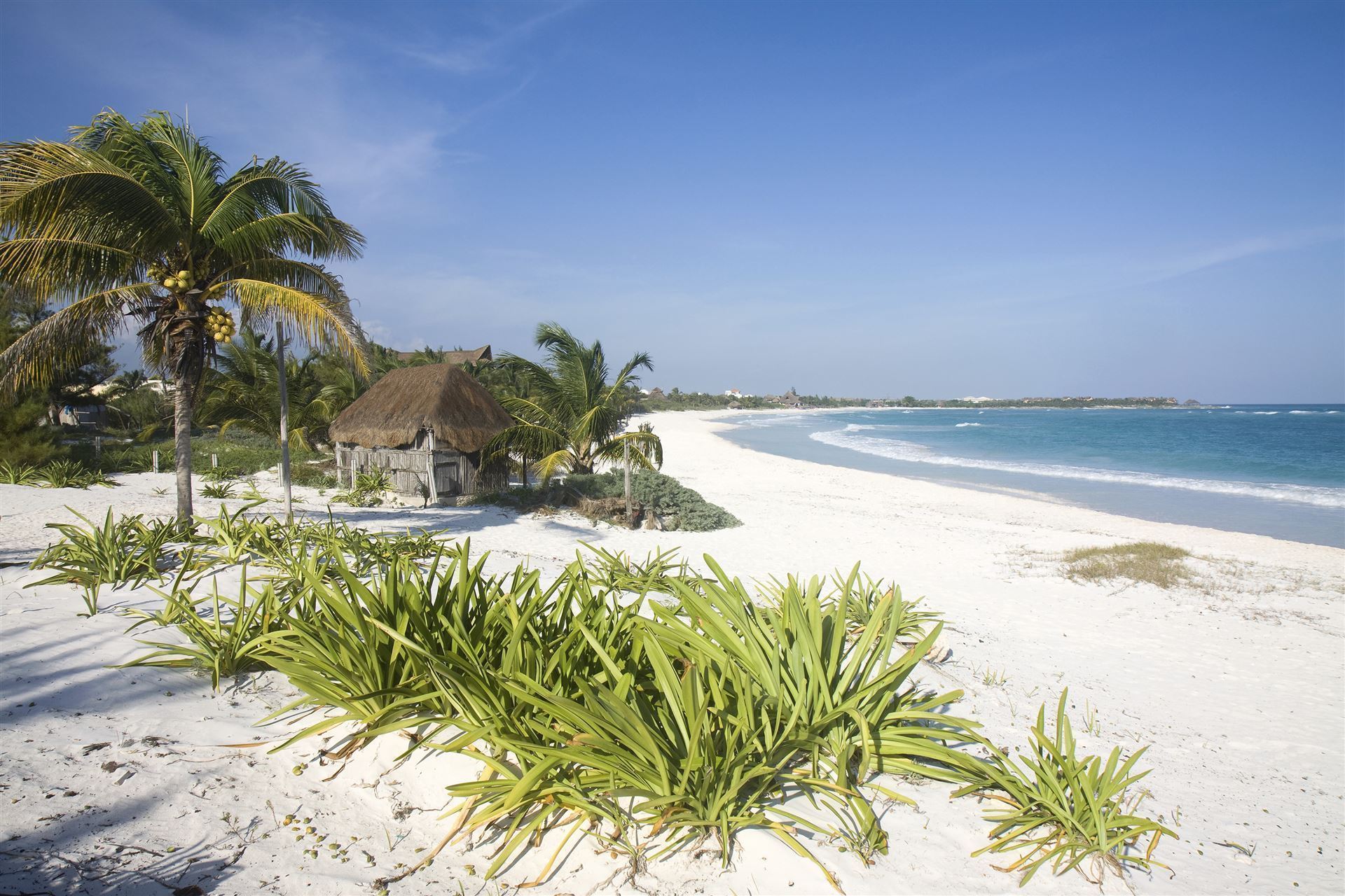 Mexiko Halbinsel Yucatan Riviera Maya
