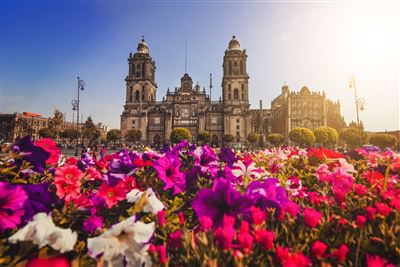 Mexiko-Stadt Kathedrale