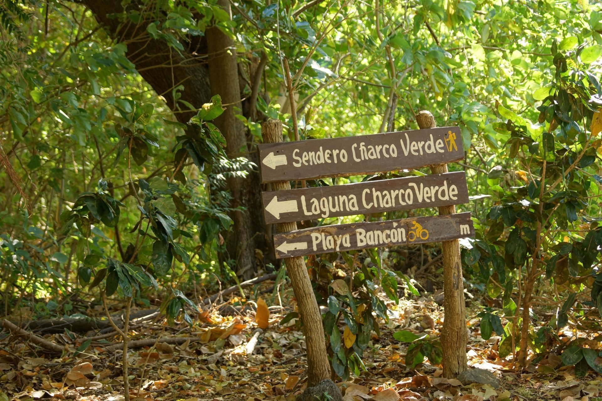 Wegweiser zur Charco Verde