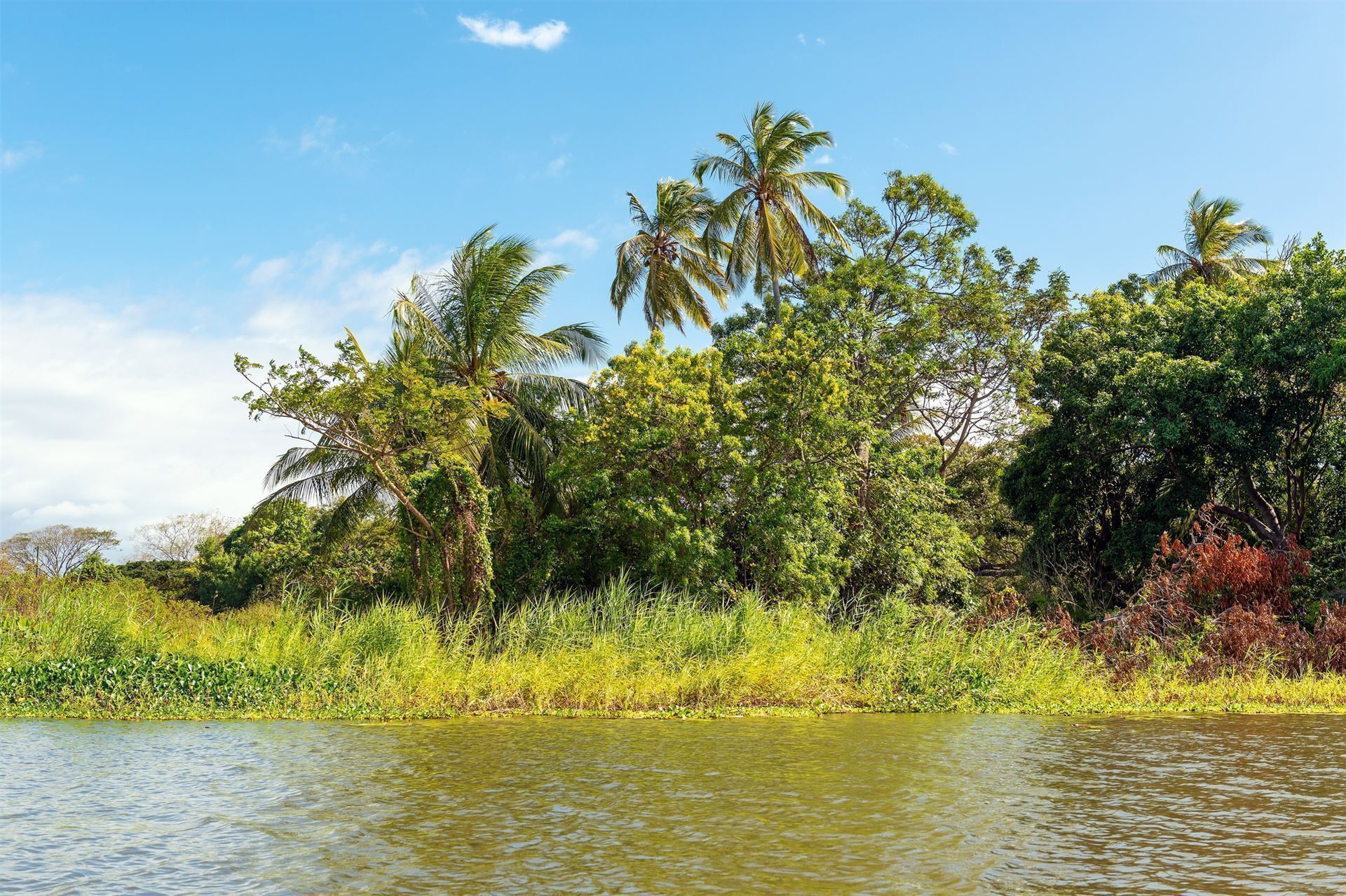 Isletas Island